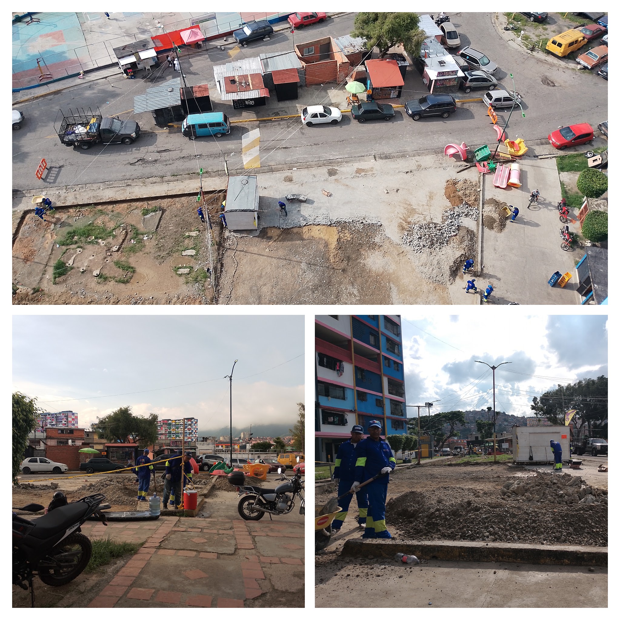 IMG_20241114_151325-COLLAGE.jpg