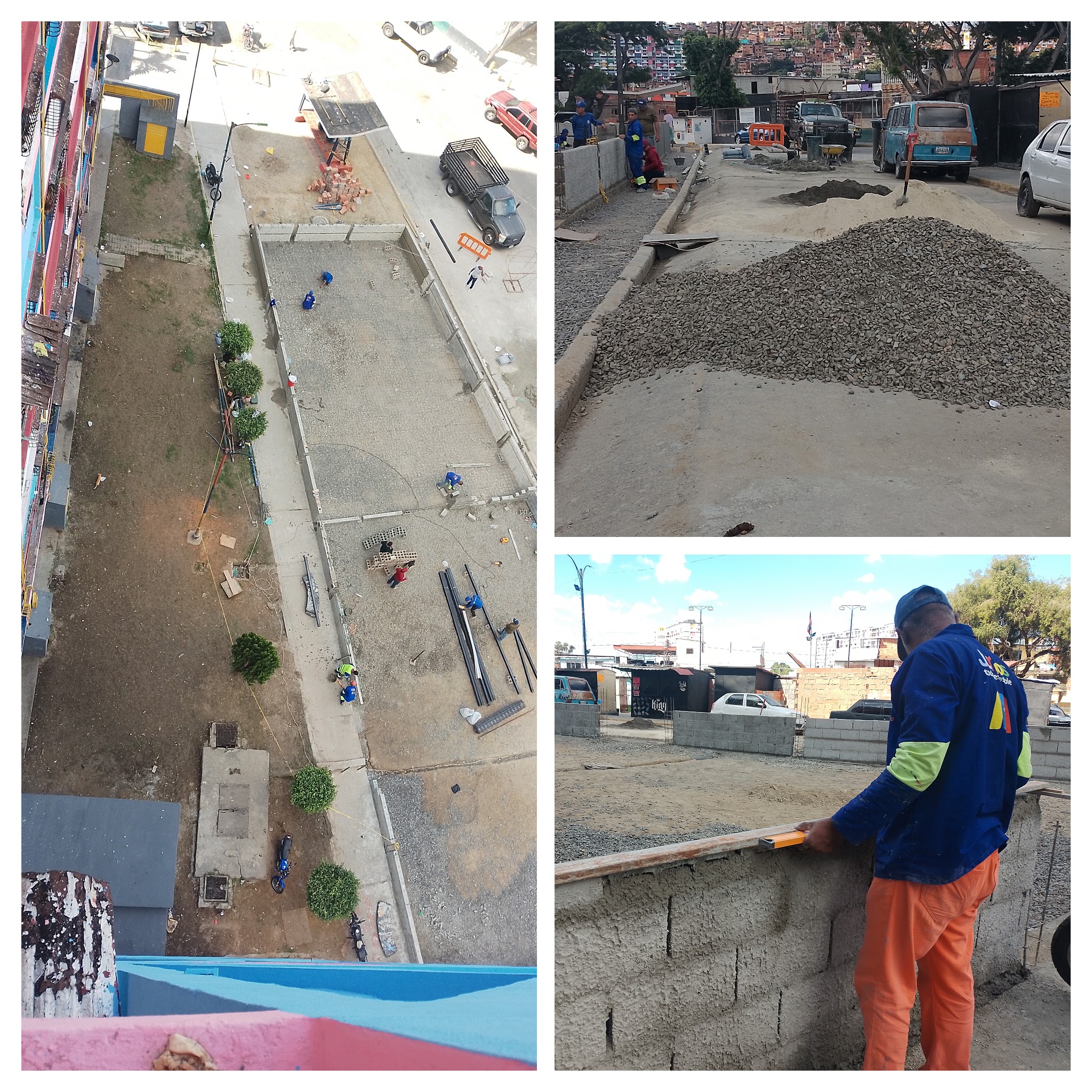 IMG_20241215_103143-COLLAGE.jpg