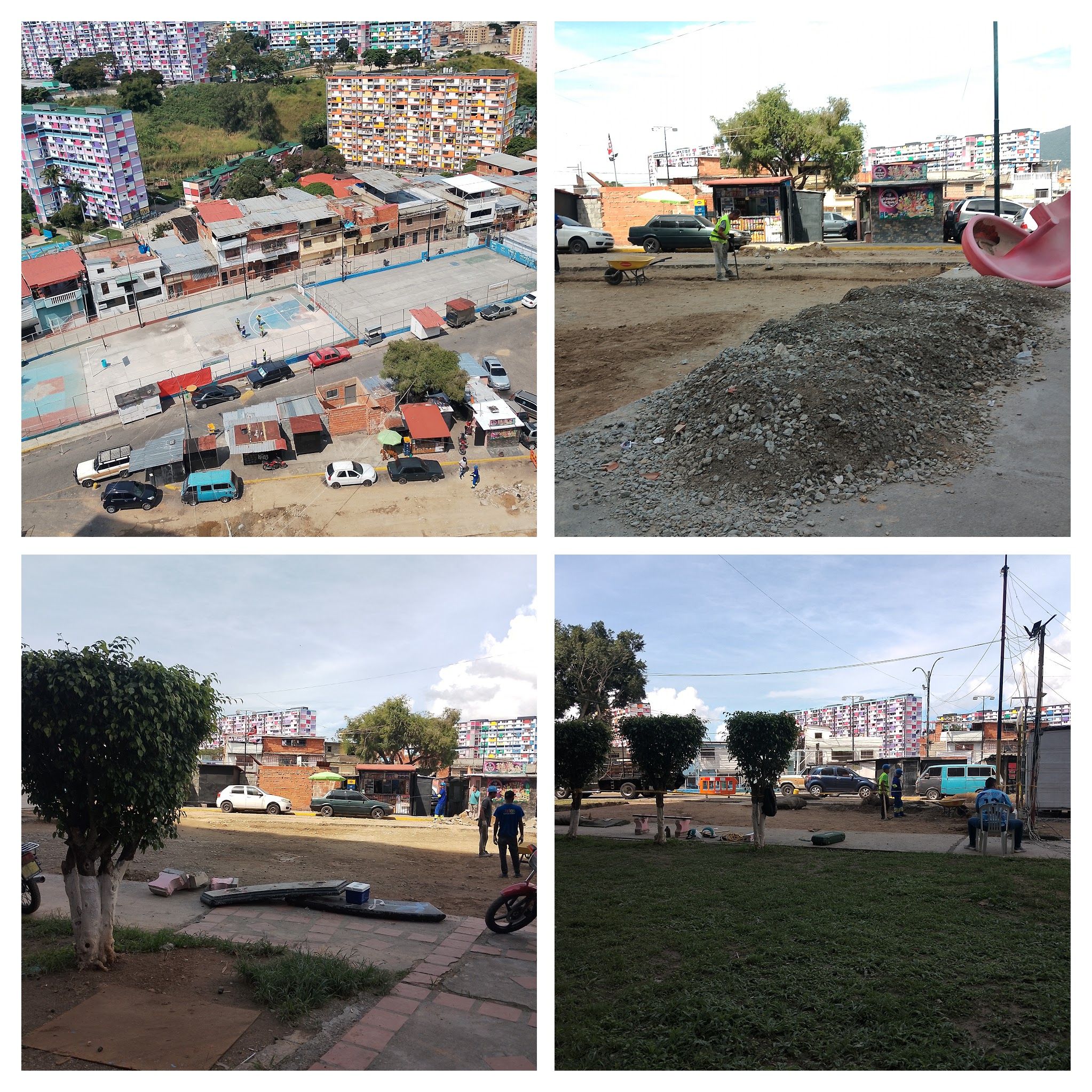 IMG_20241120_113219-COLLAGE.jpg