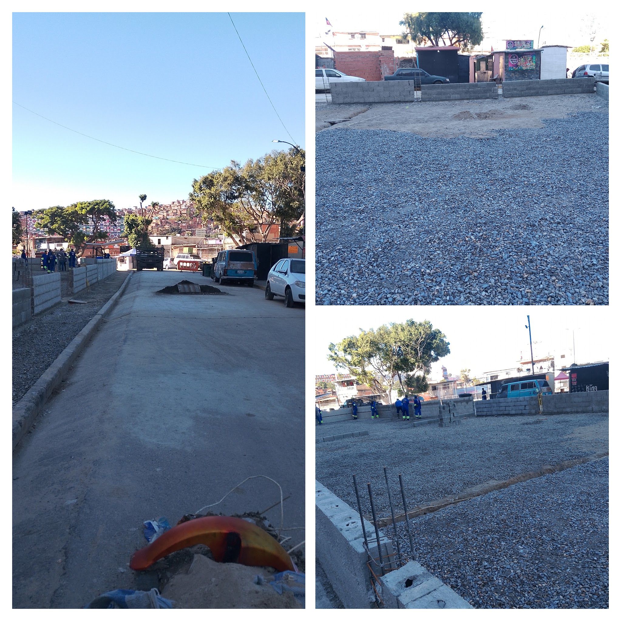 IMG_20241213_095217-COLLAGE.jpg