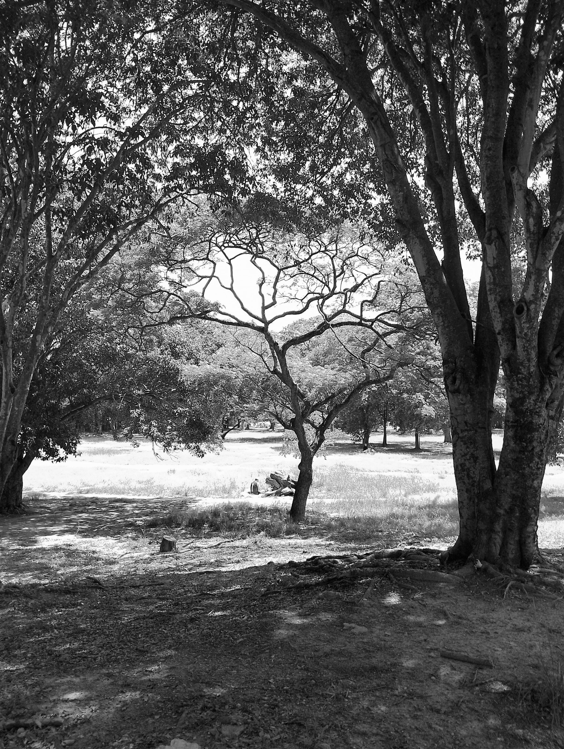 2-IMG_20251007_105657 (2).jpg