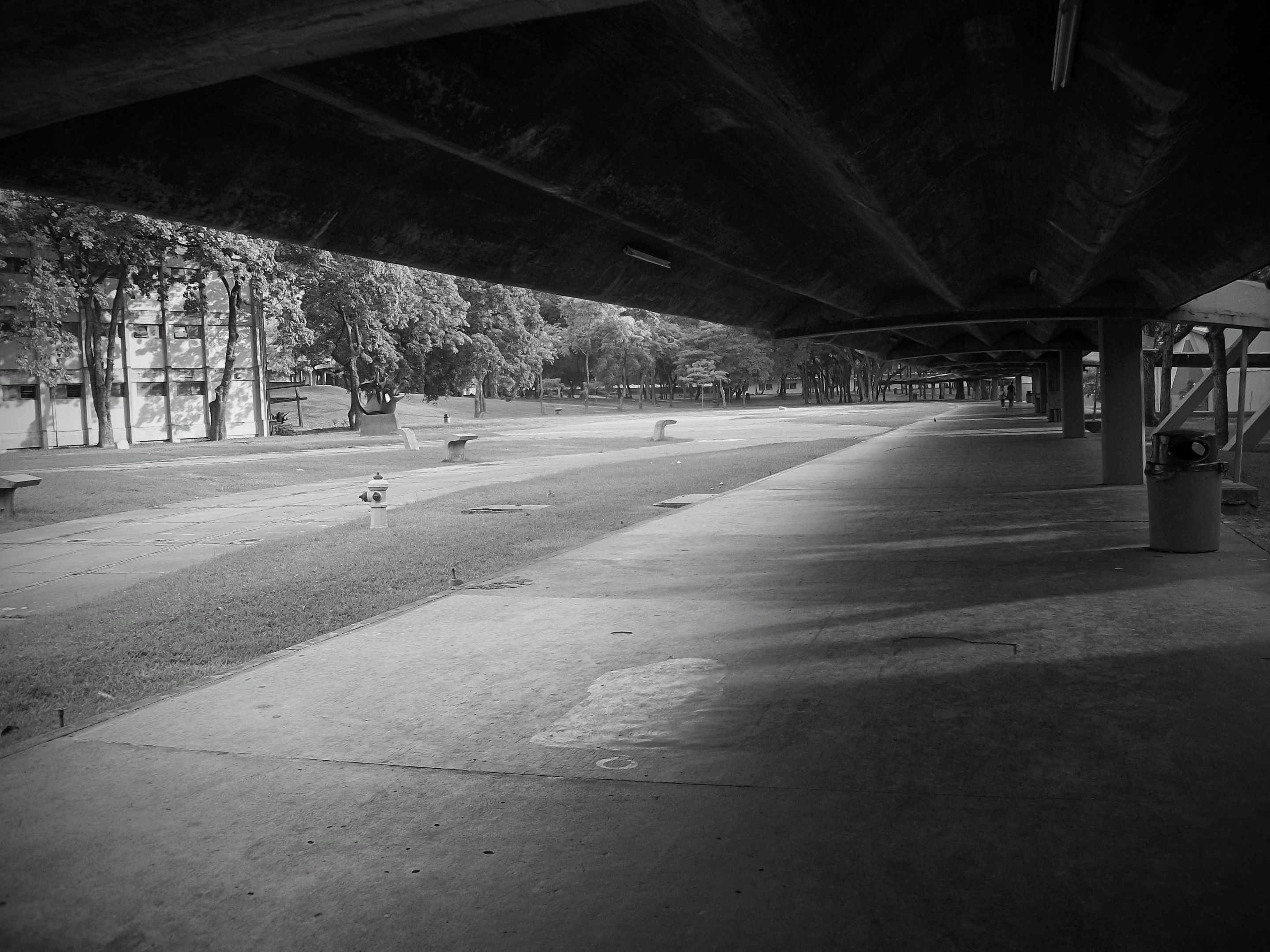 123_0242~2.JPG