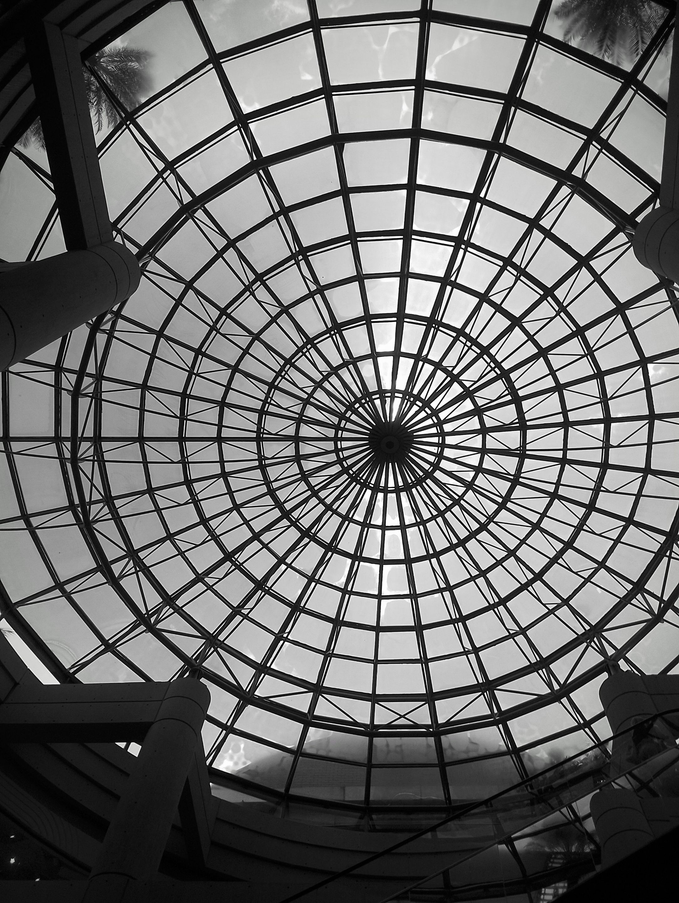 1-IMG_20250412_134156~2.jpg