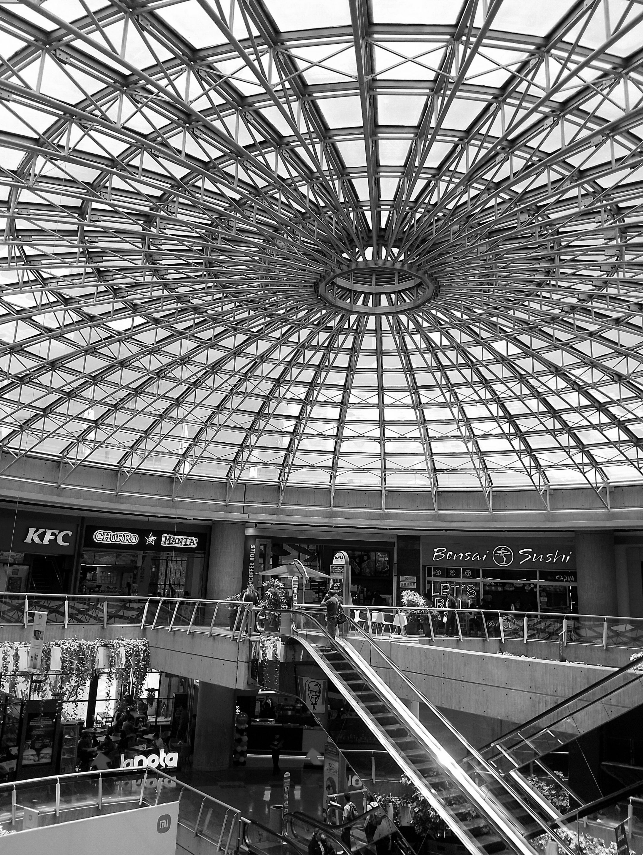 IMG_20250412_122945~2.jpg