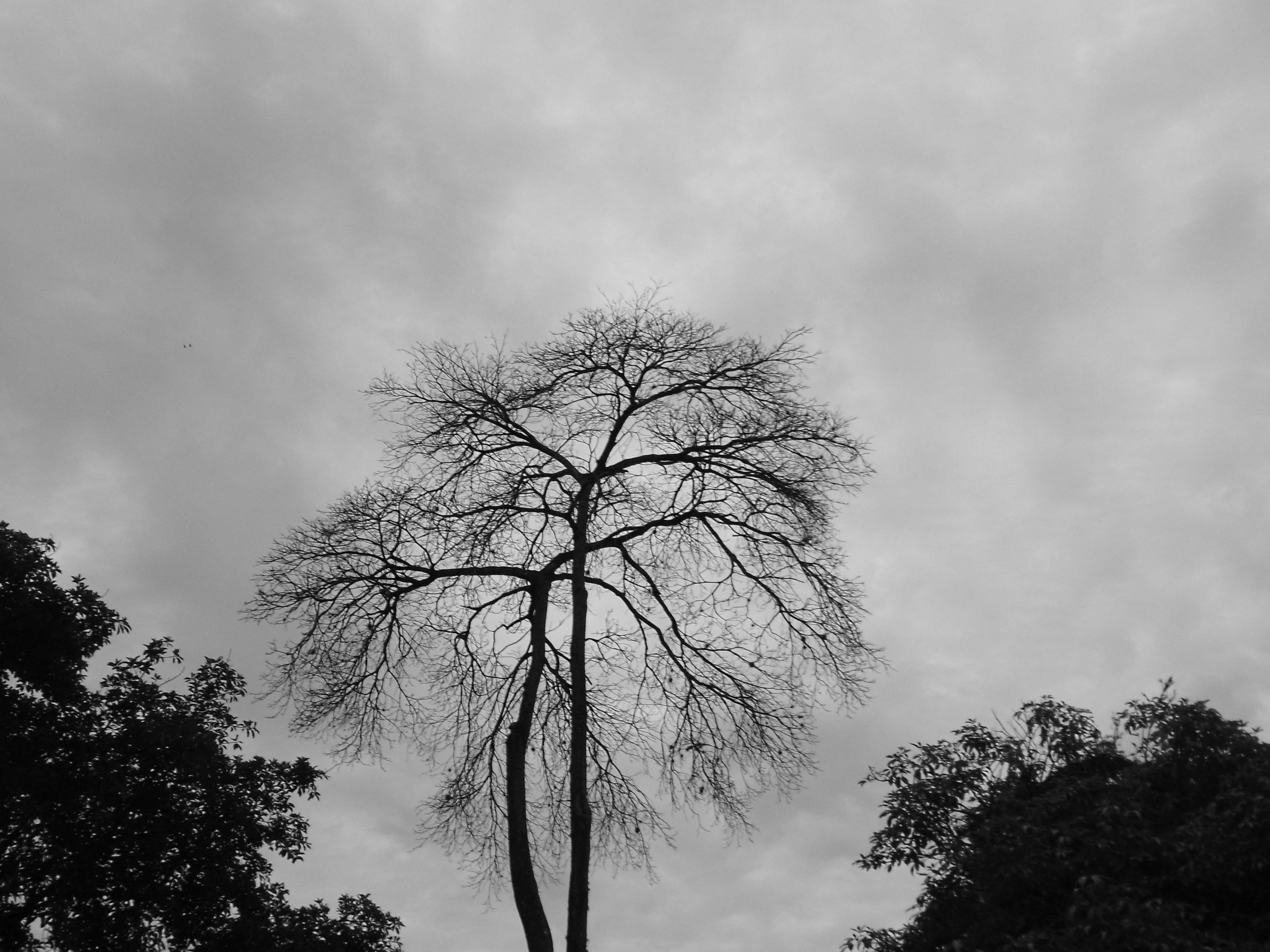 1IMG_20250121_155557_HDR~2 (3).JPG