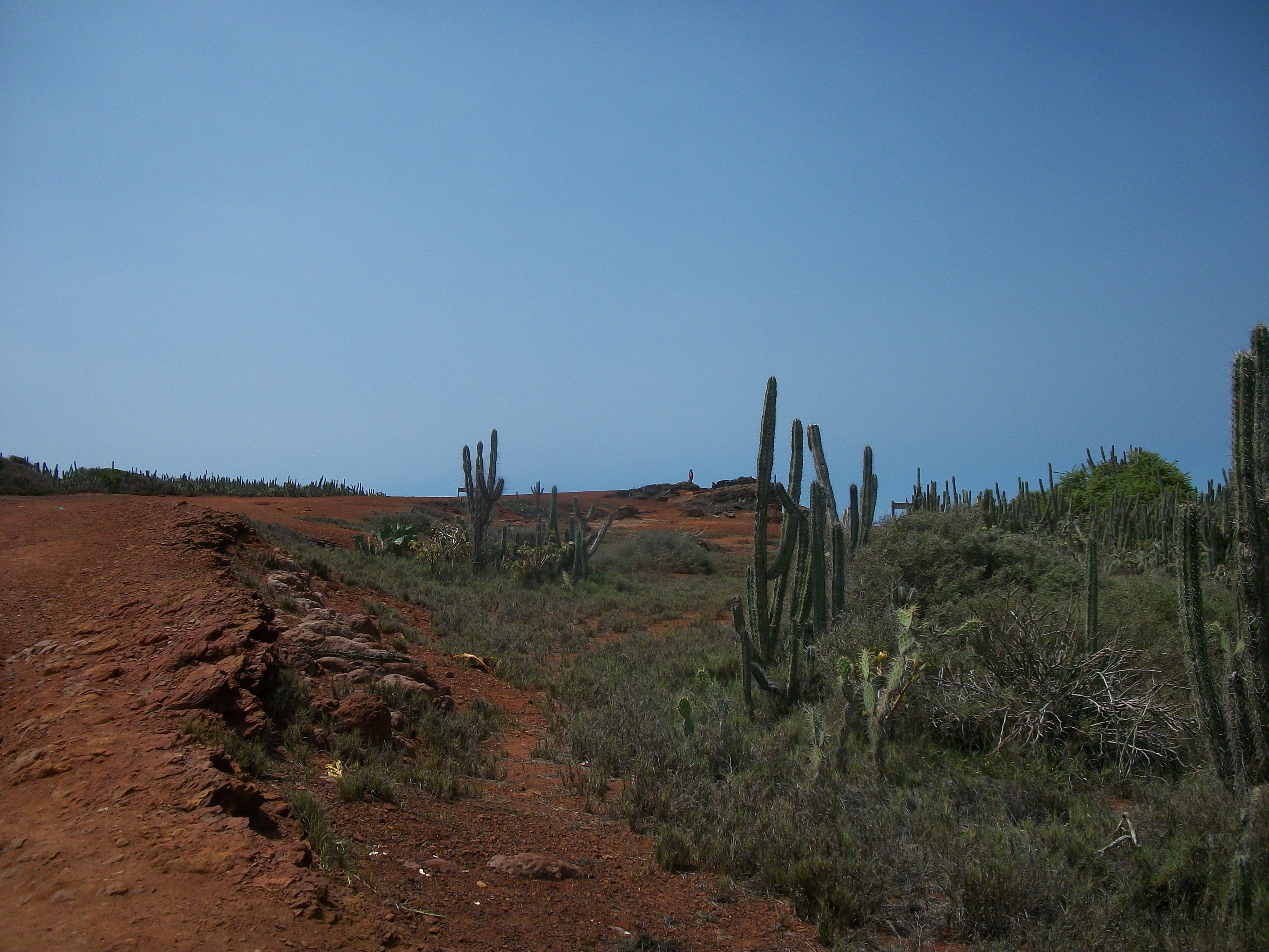 100_7676.JPG