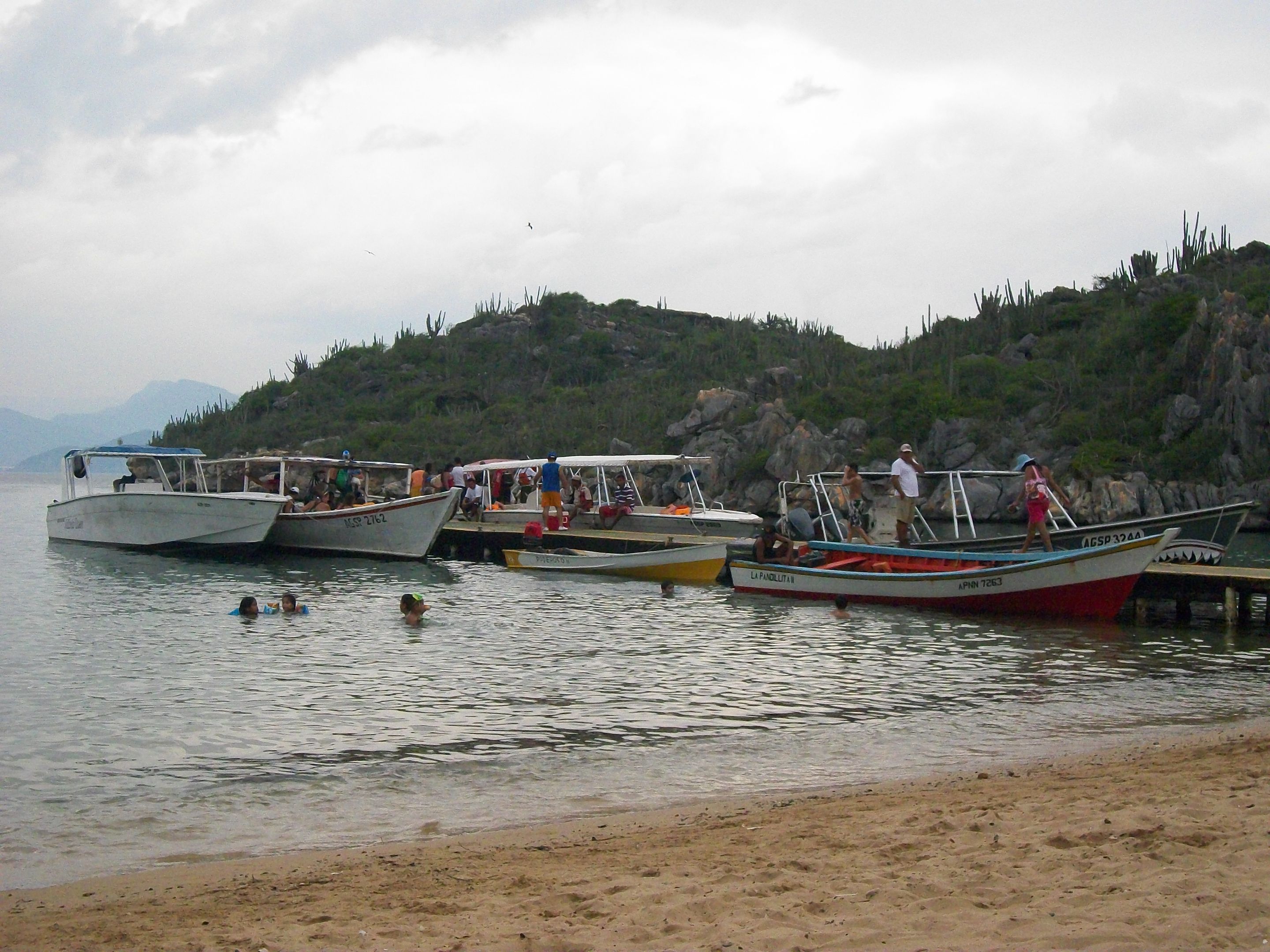100_6428.JPG