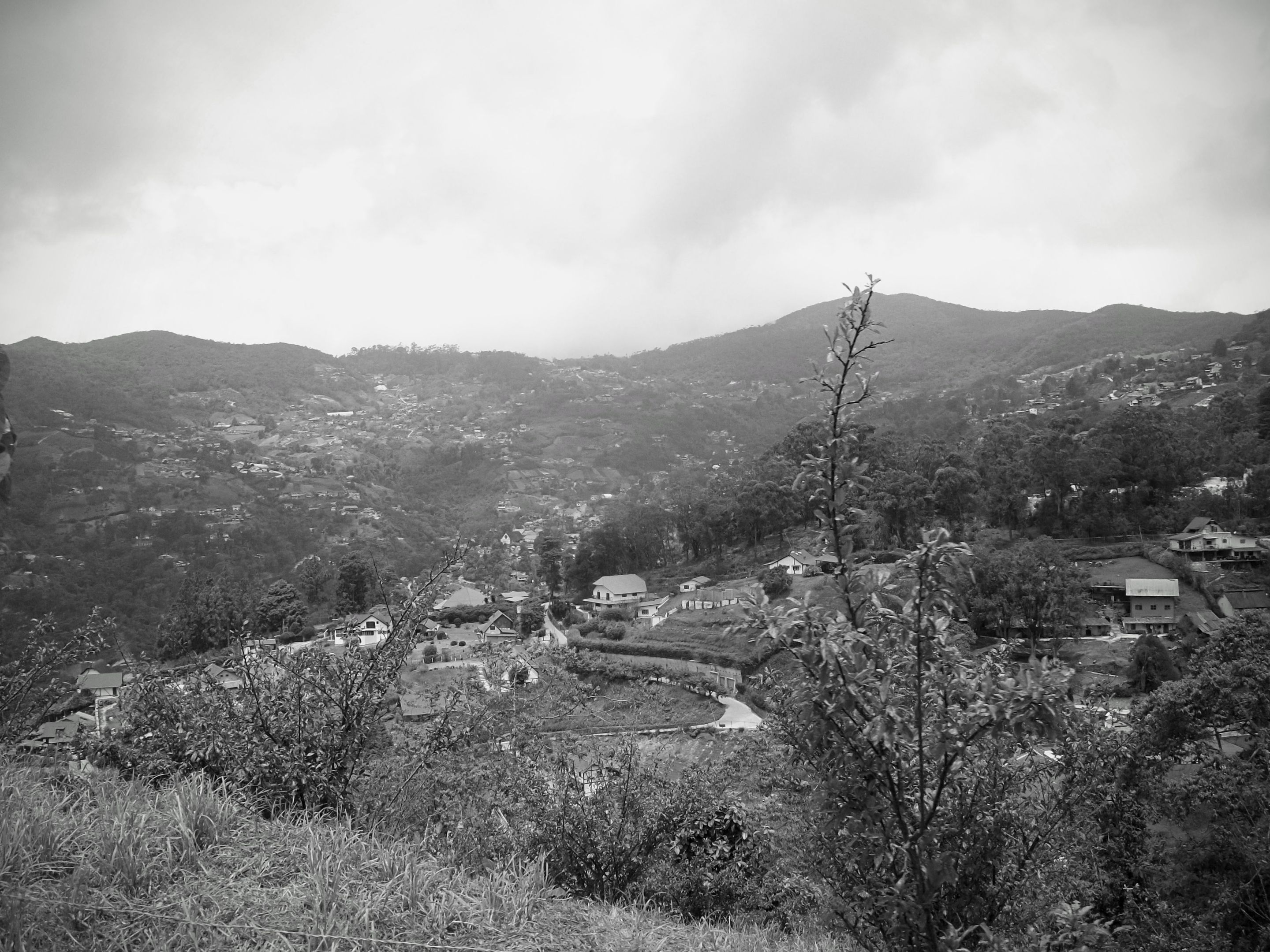 100_8949~2.JPG