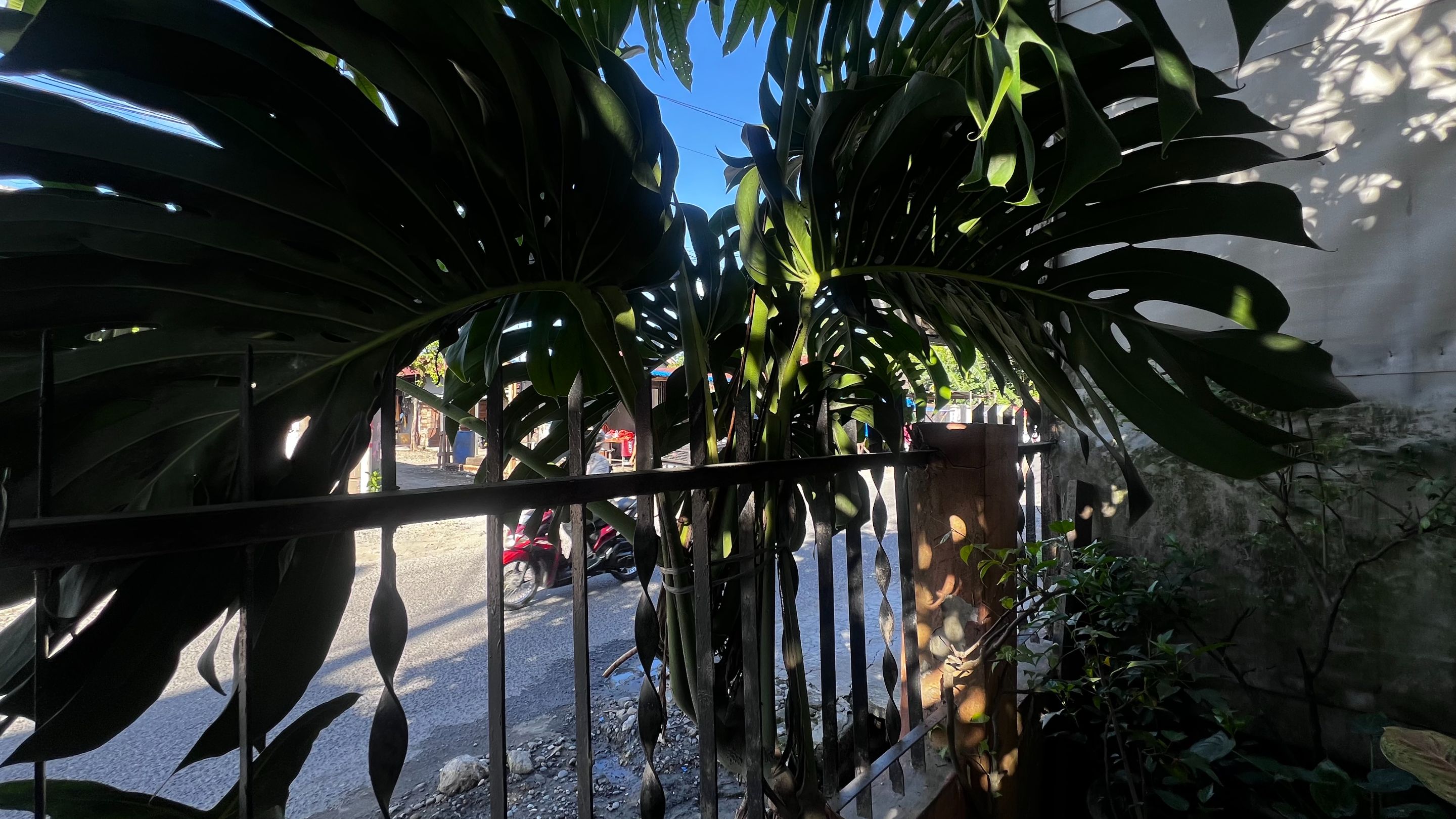 IMG_2157.jpeg