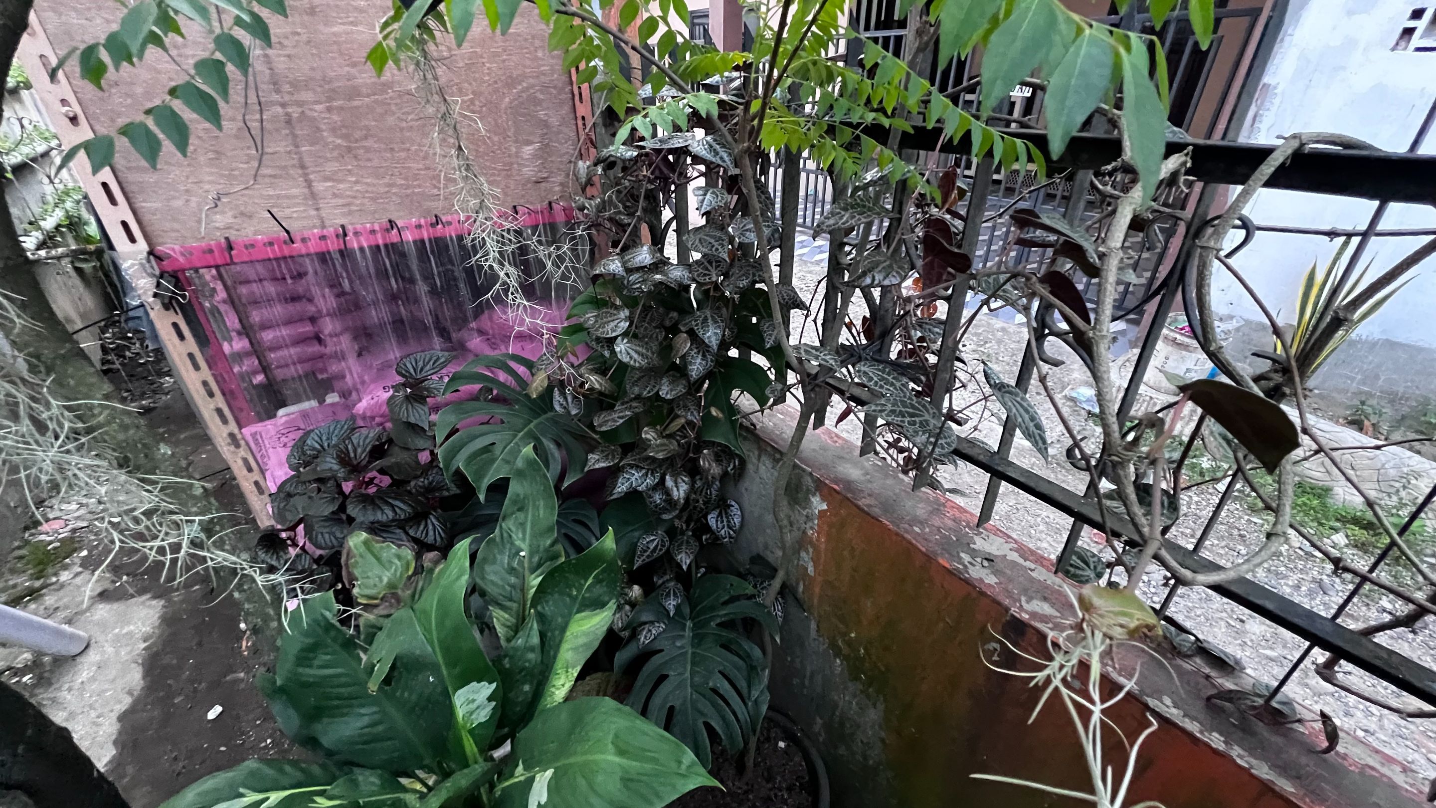 IMG_3078.jpeg