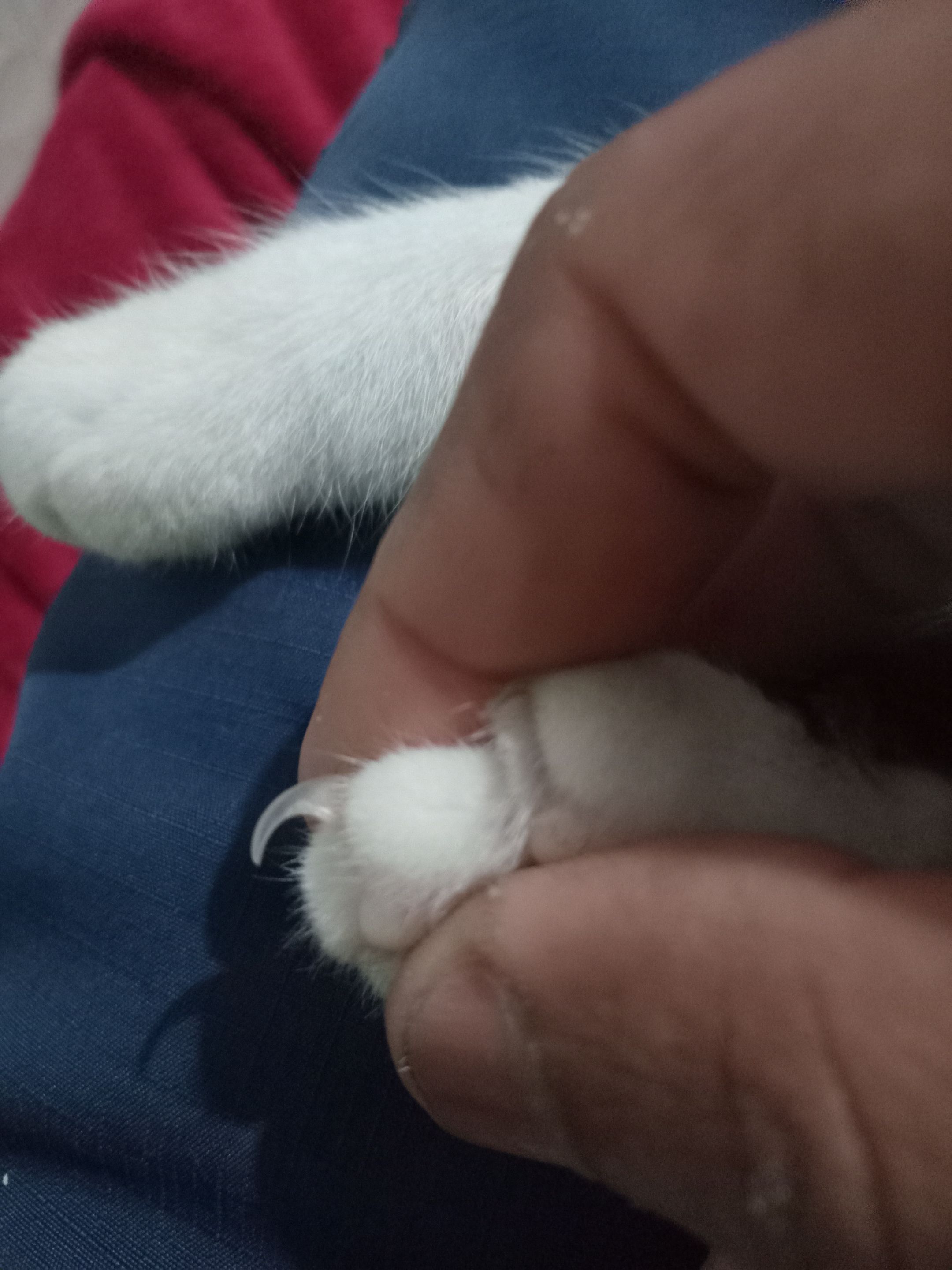 1000073880.jpg
