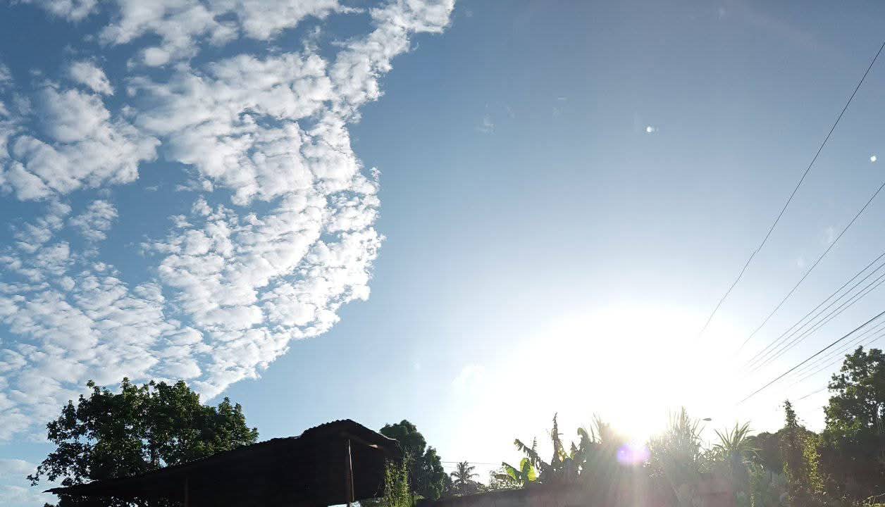 1000072906.jpg
