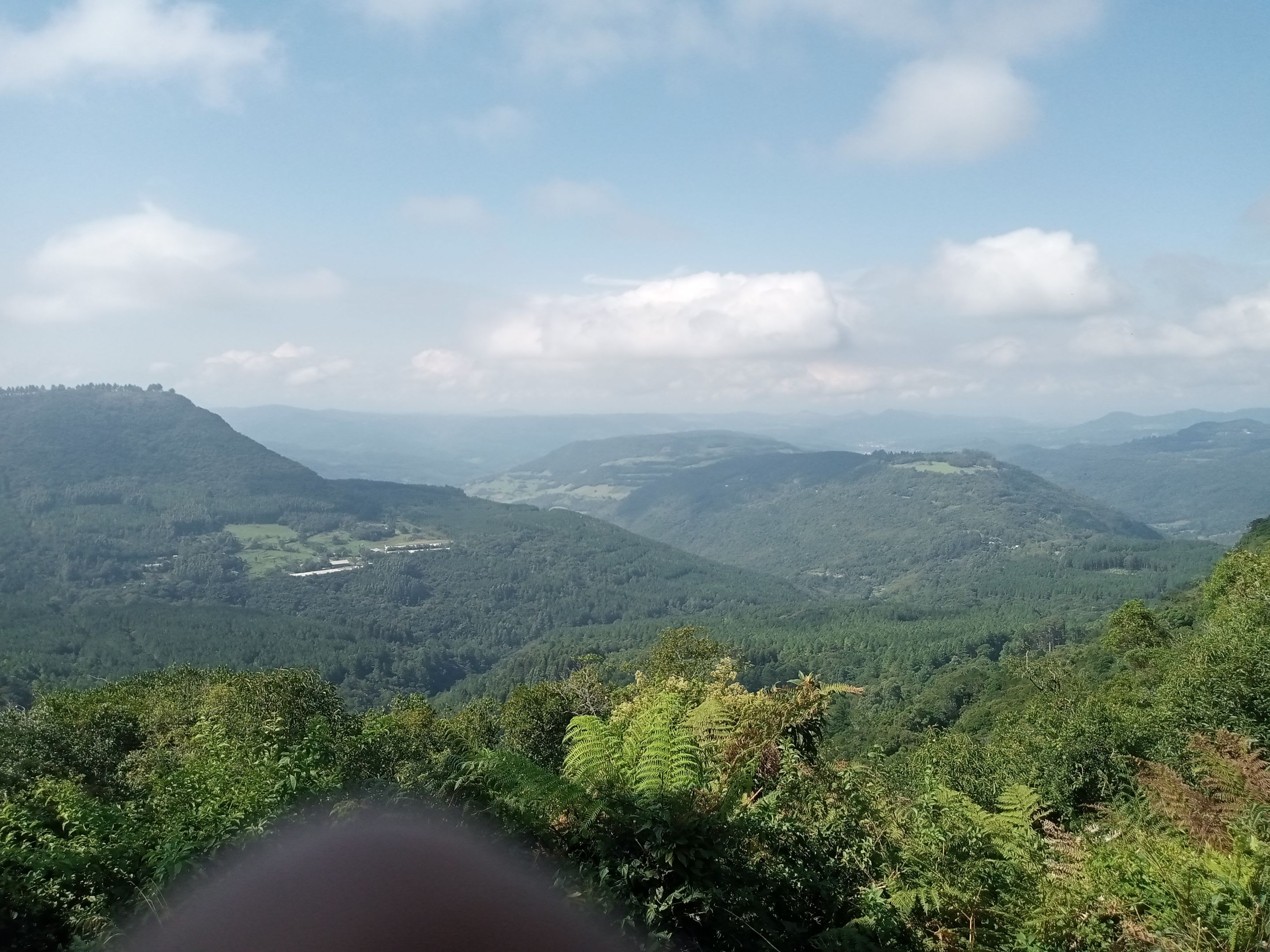 IMG_20230321_102926_326.jpg