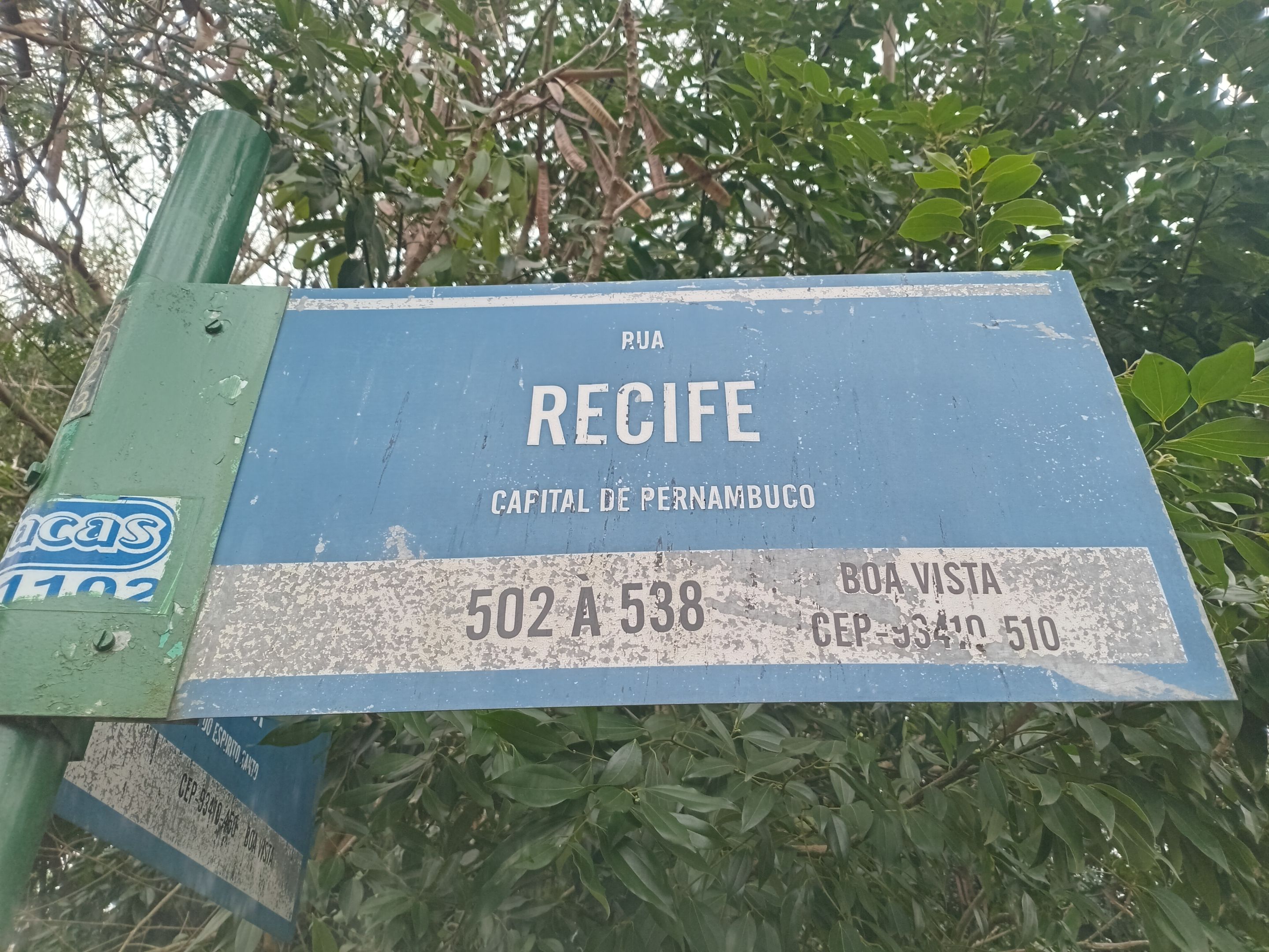 1000058604.jpg