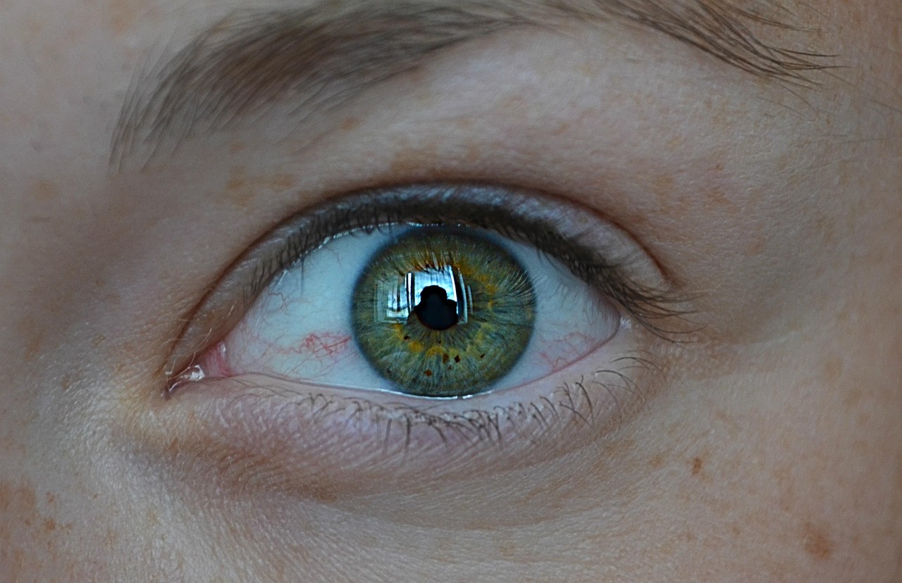 eye-873418_1280.jpg