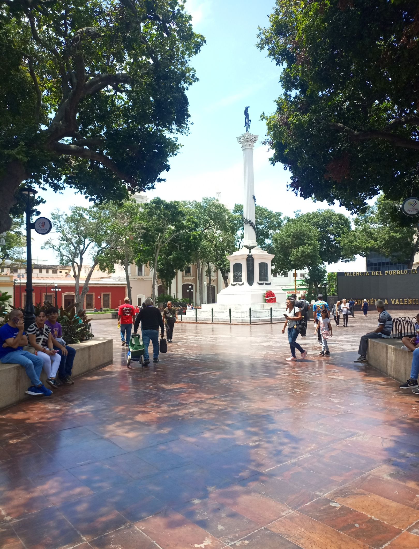 IMG_20250716_120605_459.jpg