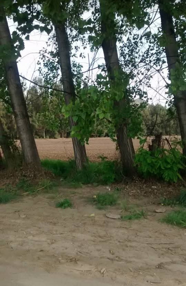 Screenshot_20250930-210858.jpg