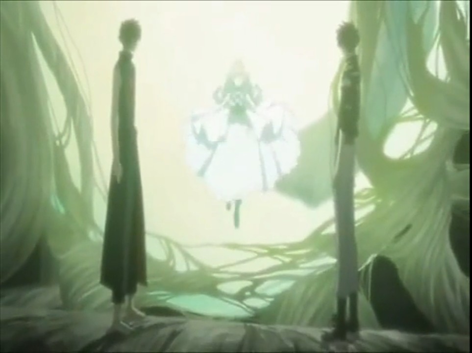 Screenshot_20250827-204351.jpg