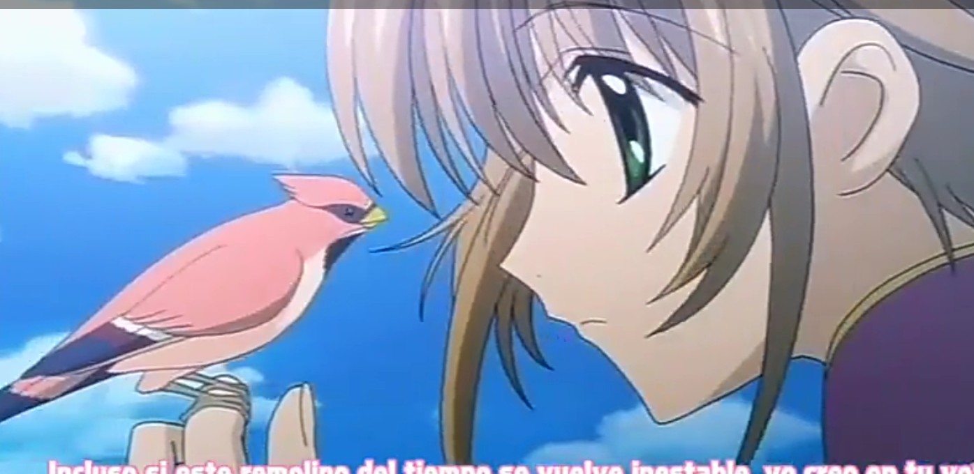 Screenshot_20250827-203134.jpg