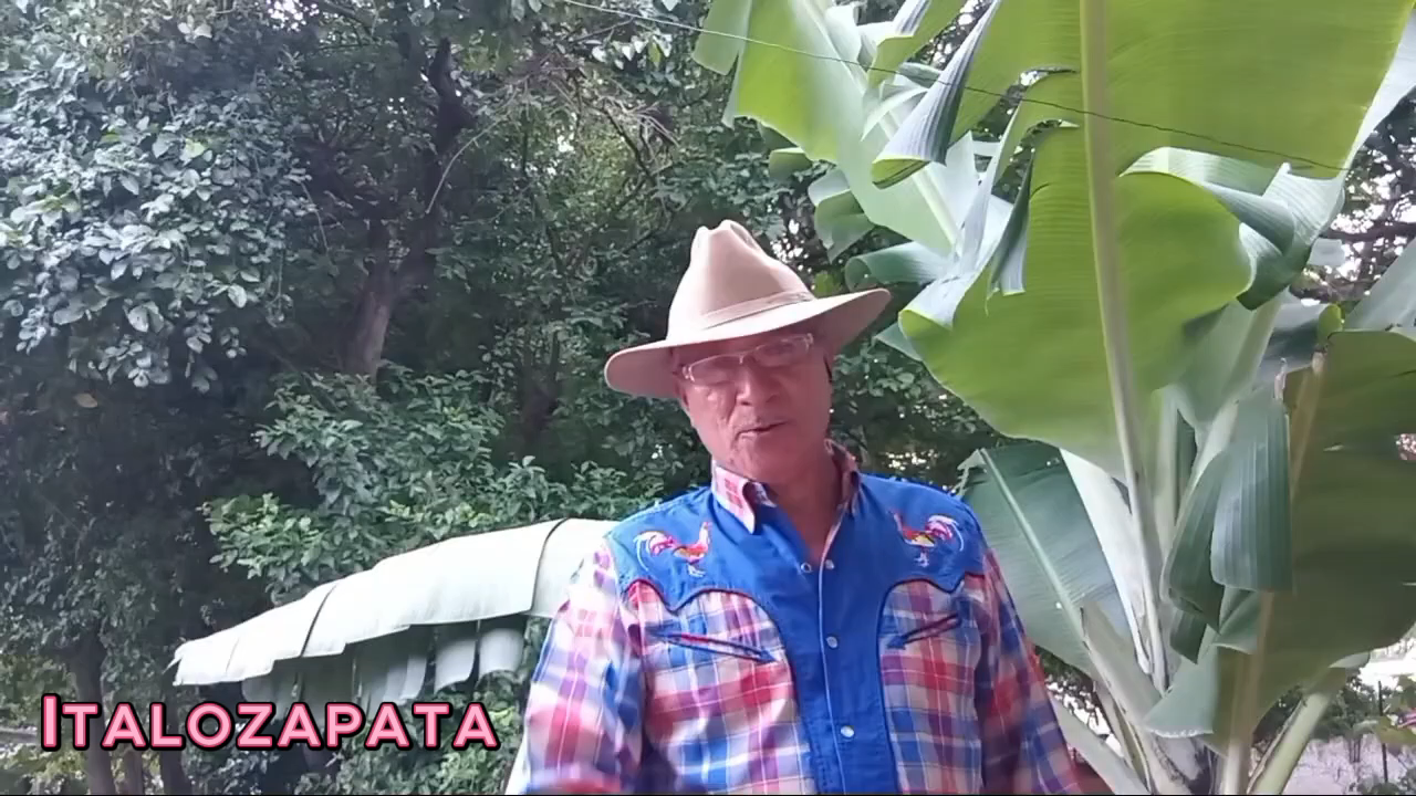 23vhwsGTSDTvPDBNUyQGNSh89uNpVfZmV34gkdwEwB49S5UGd1u48MeMSxnHThT3FNXmU.PNG