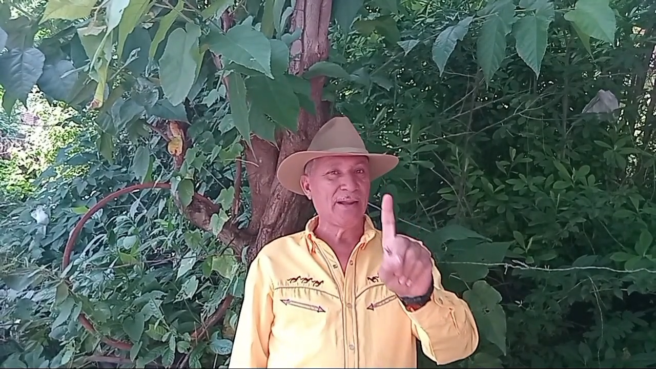 23xKpL8vr27479VNdexpnSQpbJajVCGC2uagu63mxeRuRcS2z3WDPxvyn2LumbFWijqCs.PNG