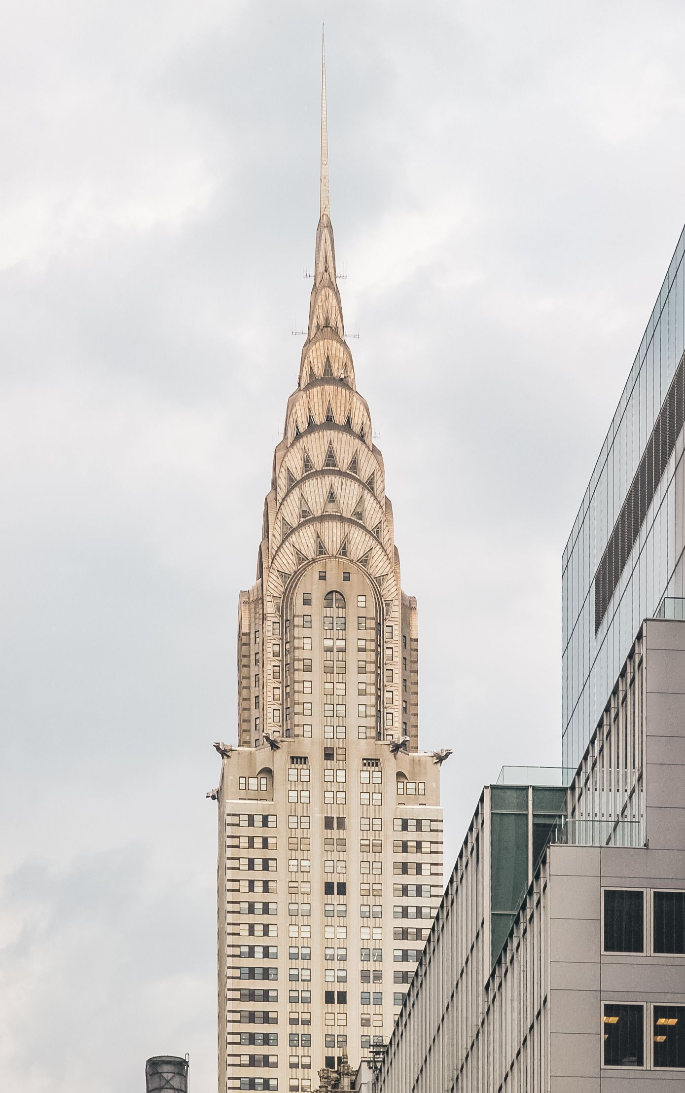 nyca-27.jpg