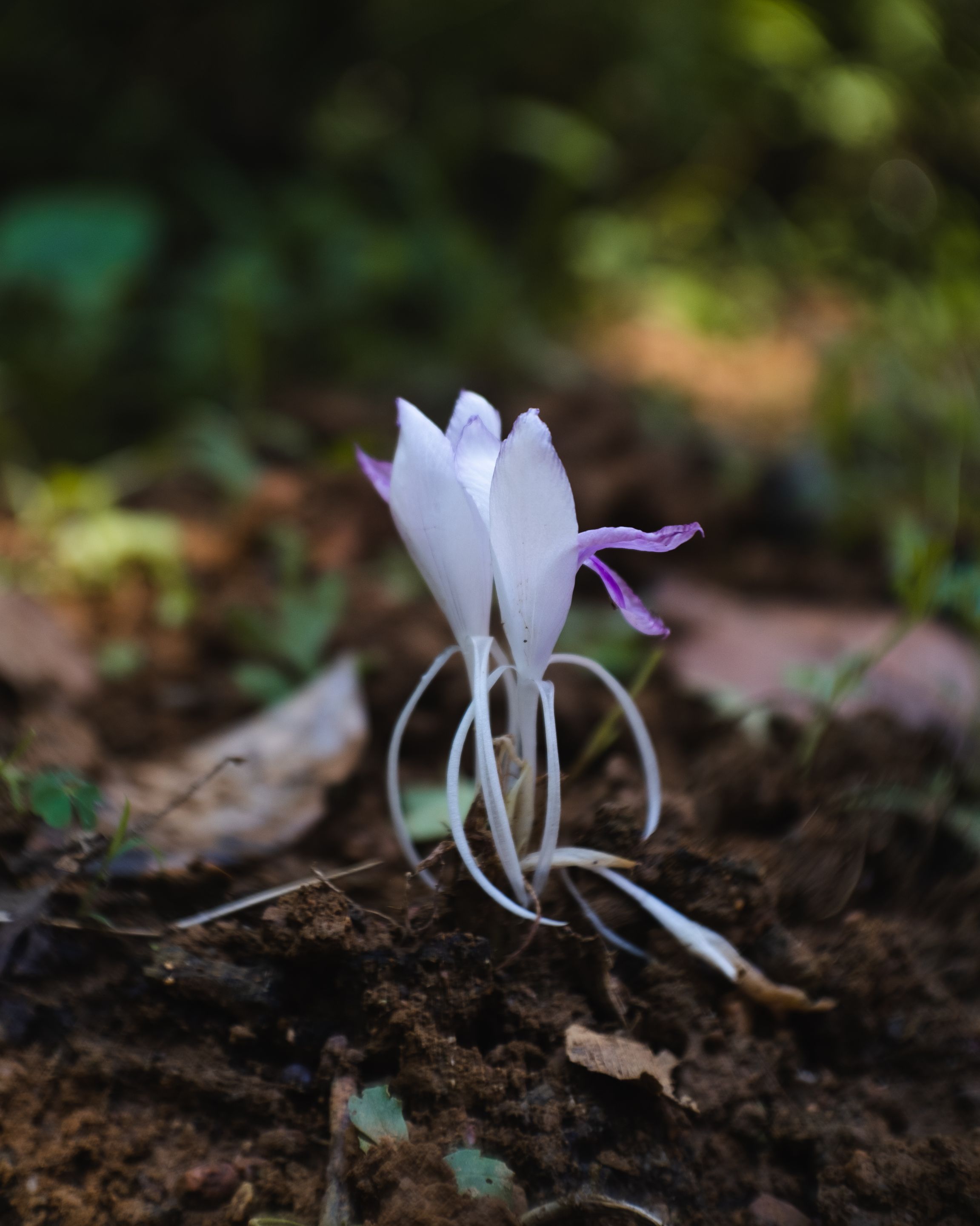 DSCF3108.jpg