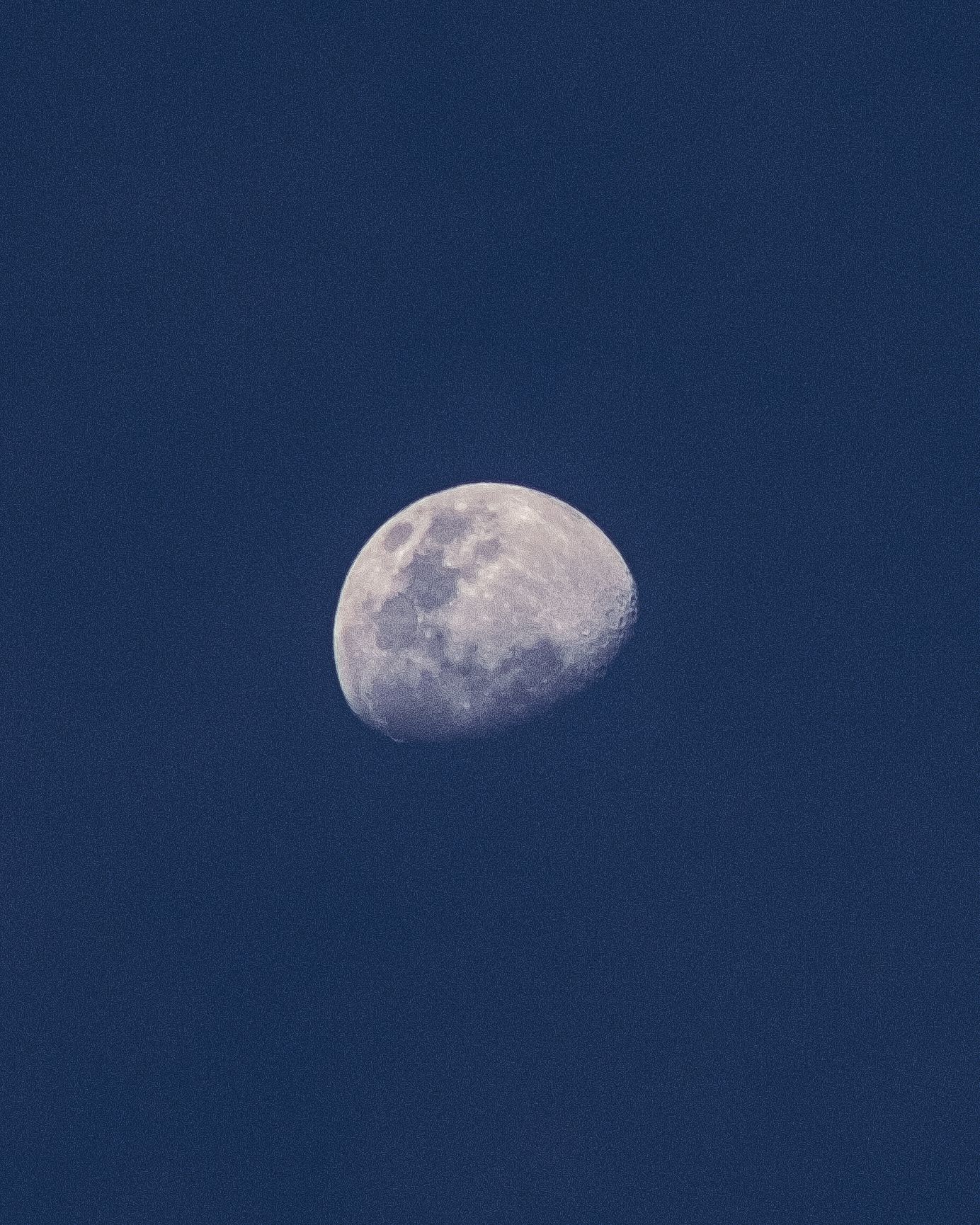 DSCF2641.jpg