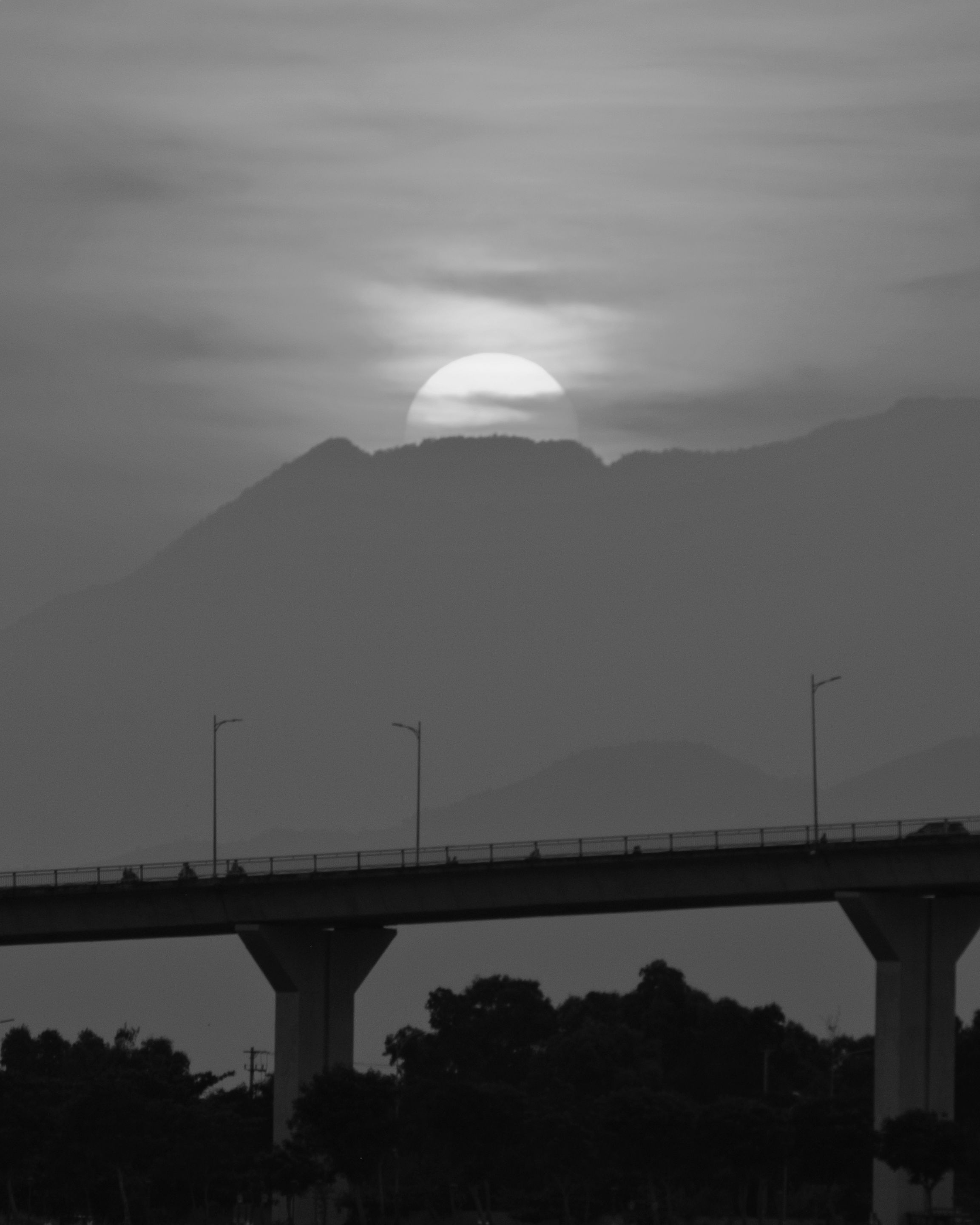 DSCF3375-01.jpeg