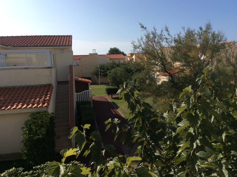 sp01.jpg