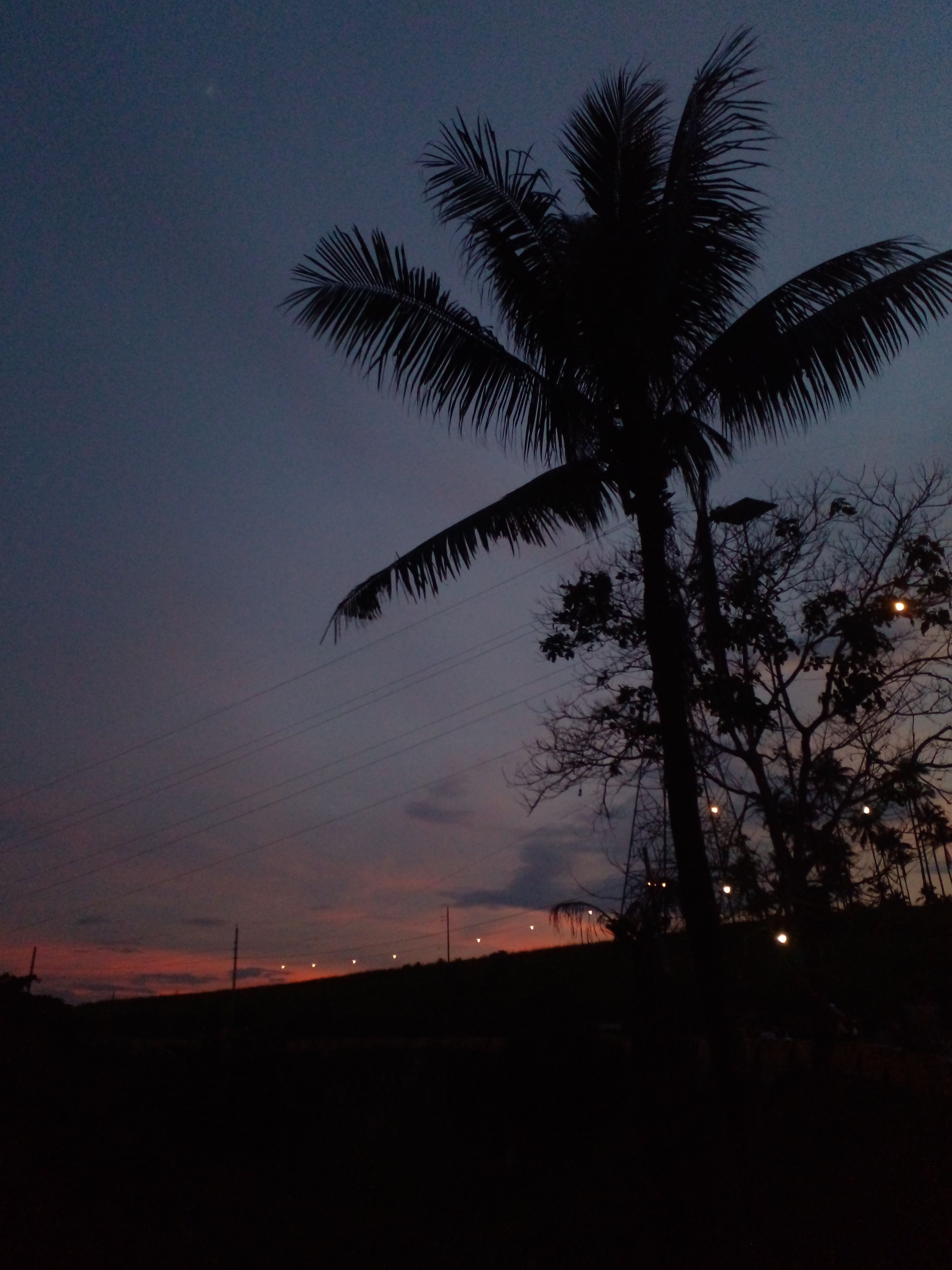 20241107_173151.jpg