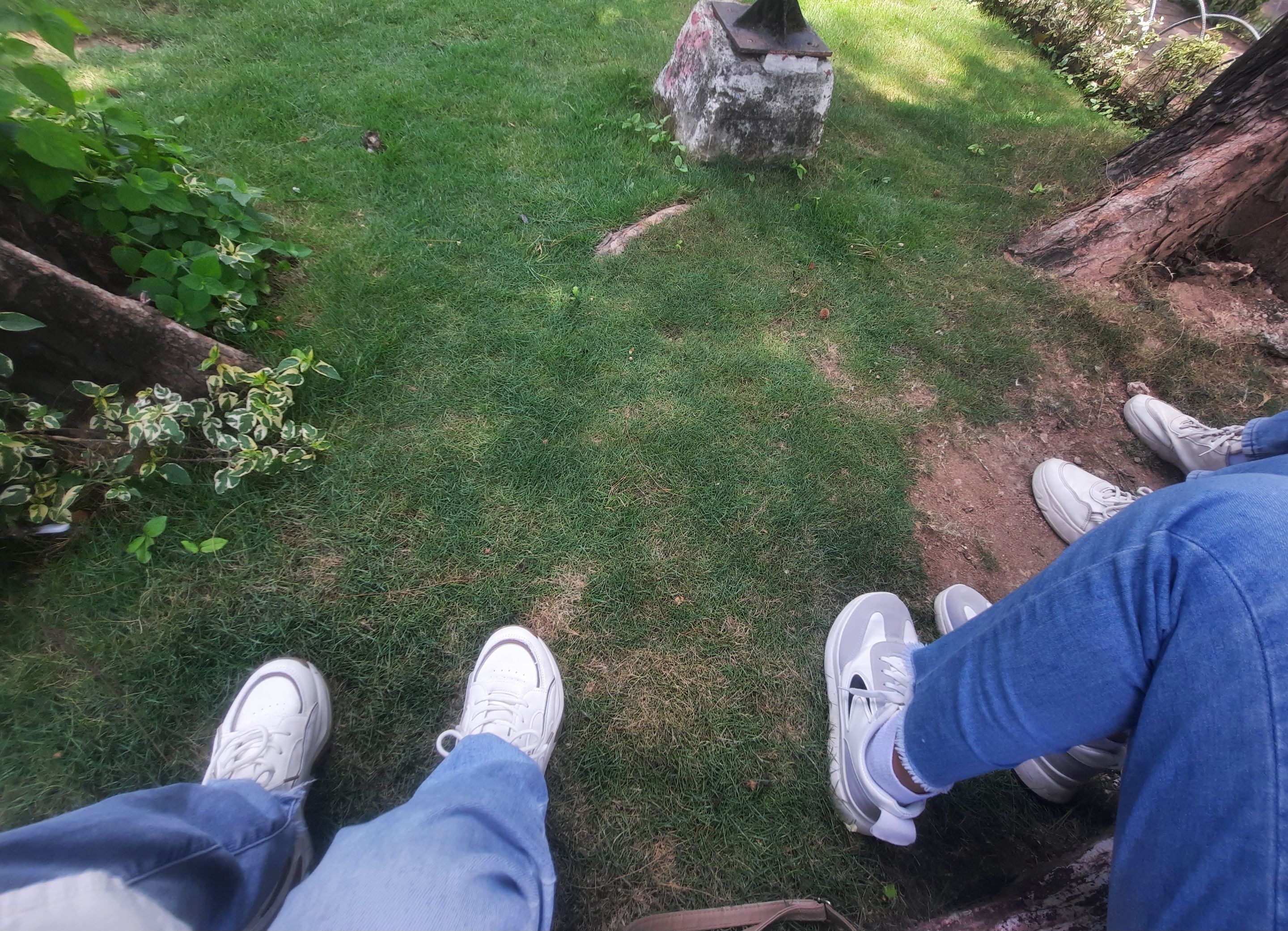 20250730_121401.jpg
