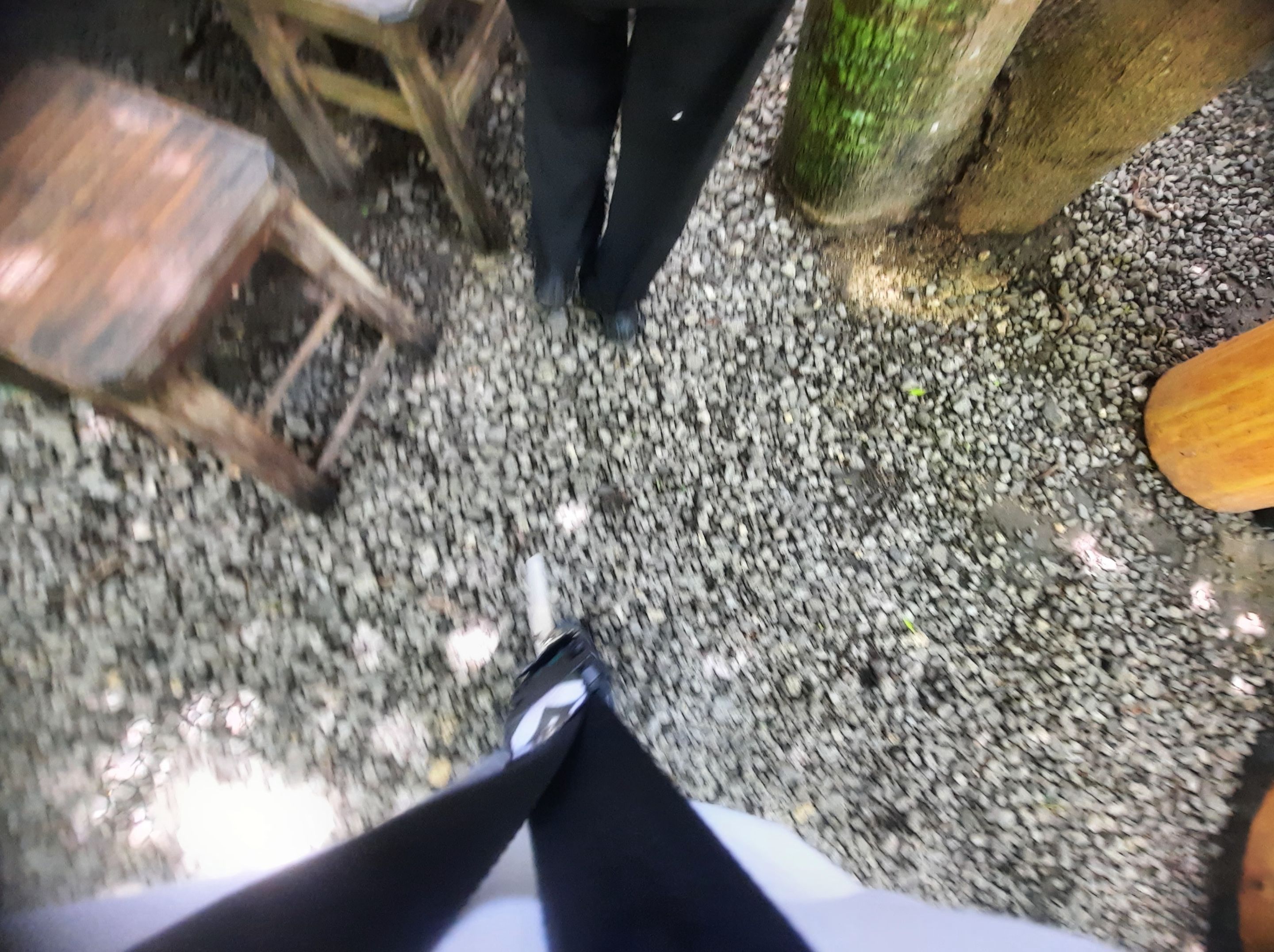 20250823_115859.jpg