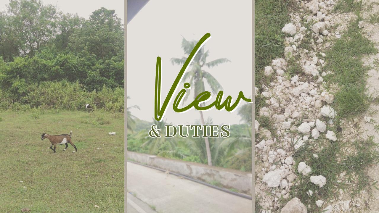Minimal Daily Vlog YouTube Thumbnail (48).png