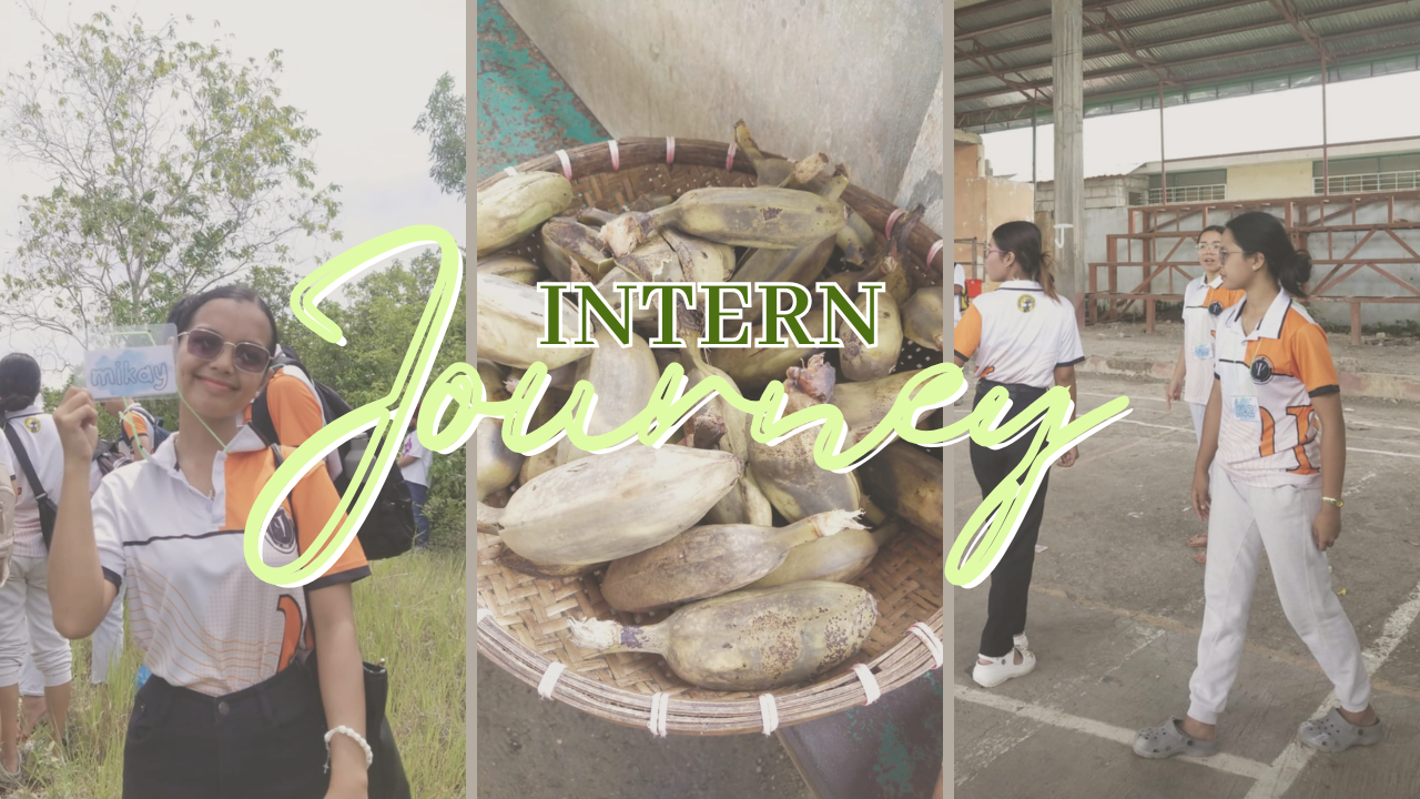 Minimal Daily Vlog YouTube Thumbnail (52).png