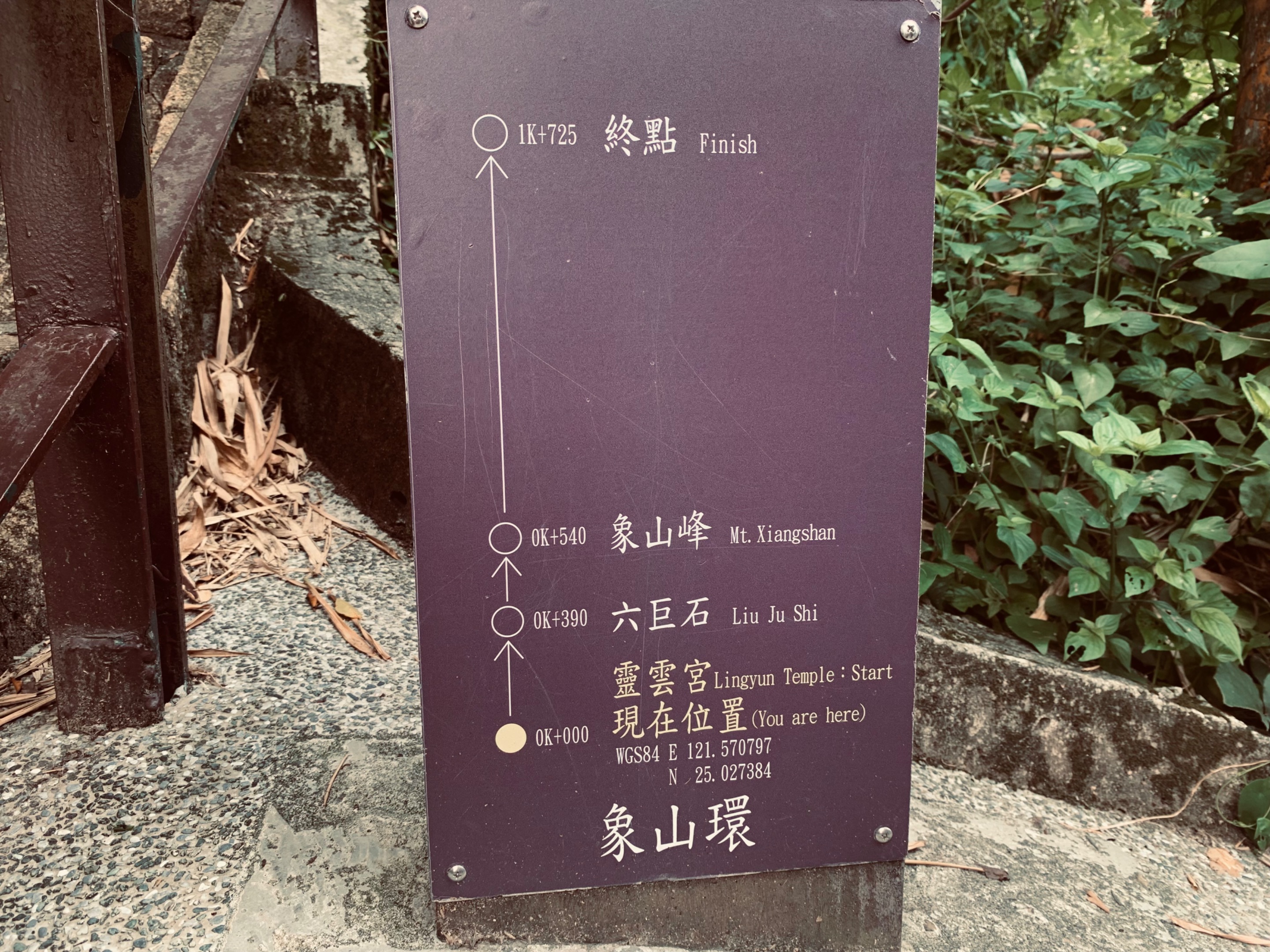IMG_9385.jpeg