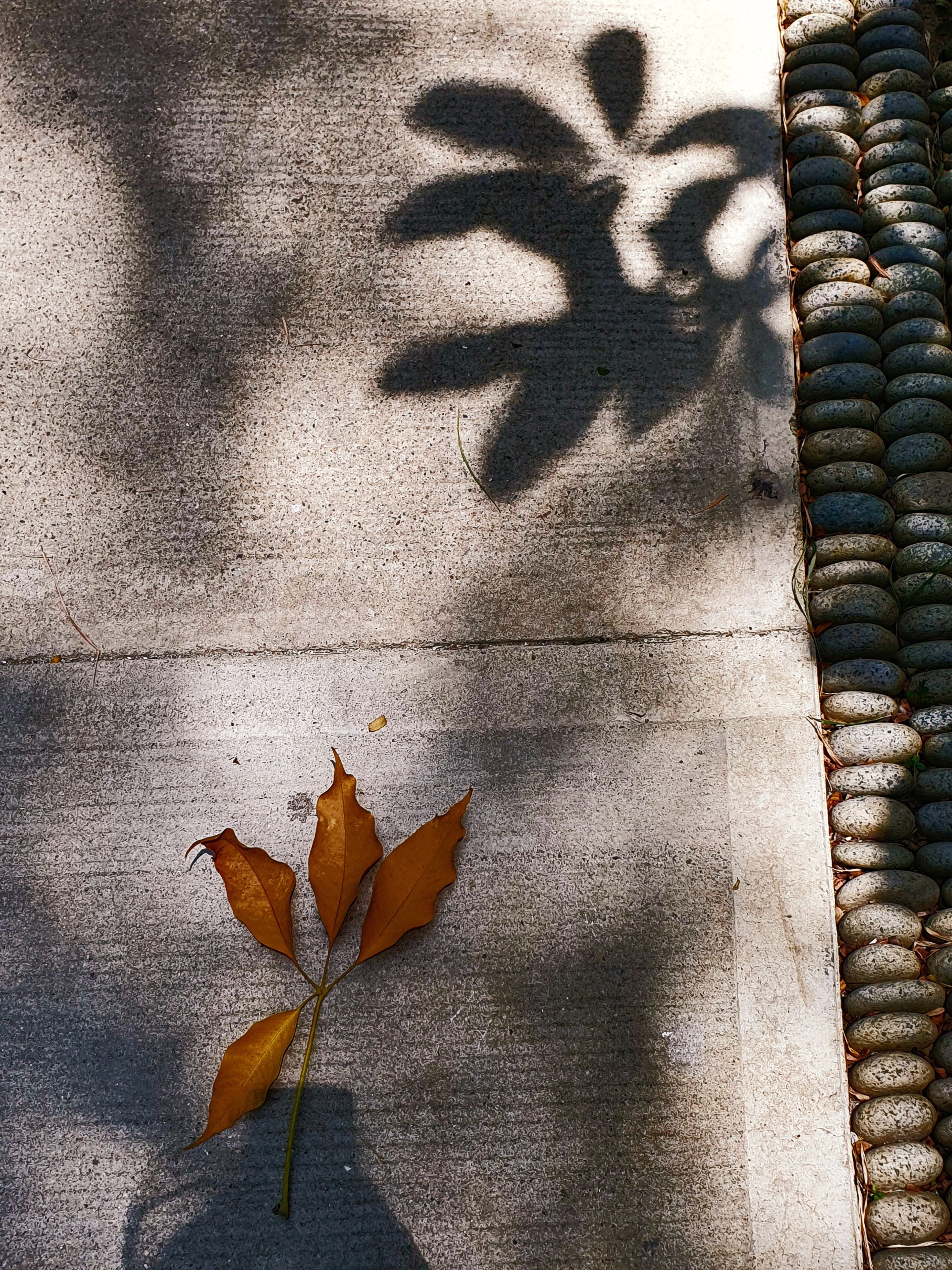 20210805_122750.jpg