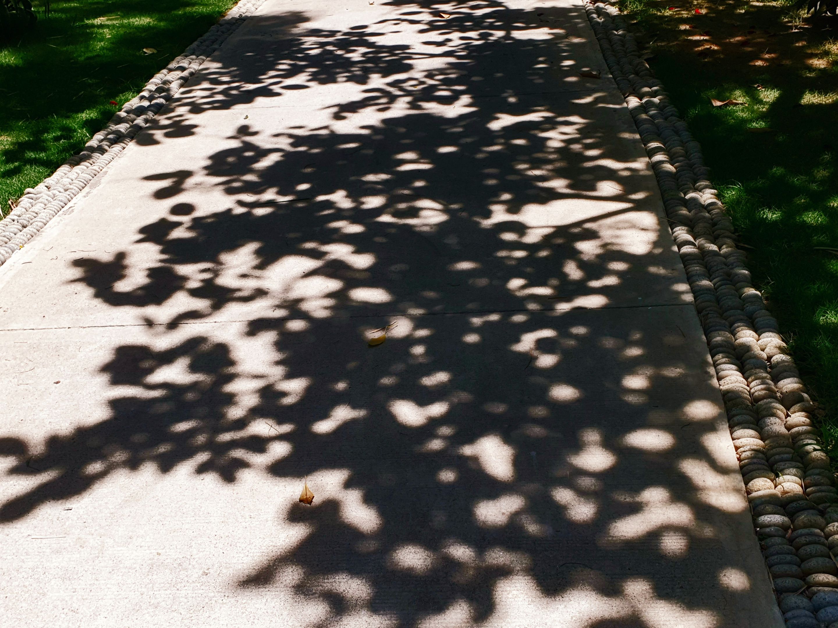 20210805_122759.jpg