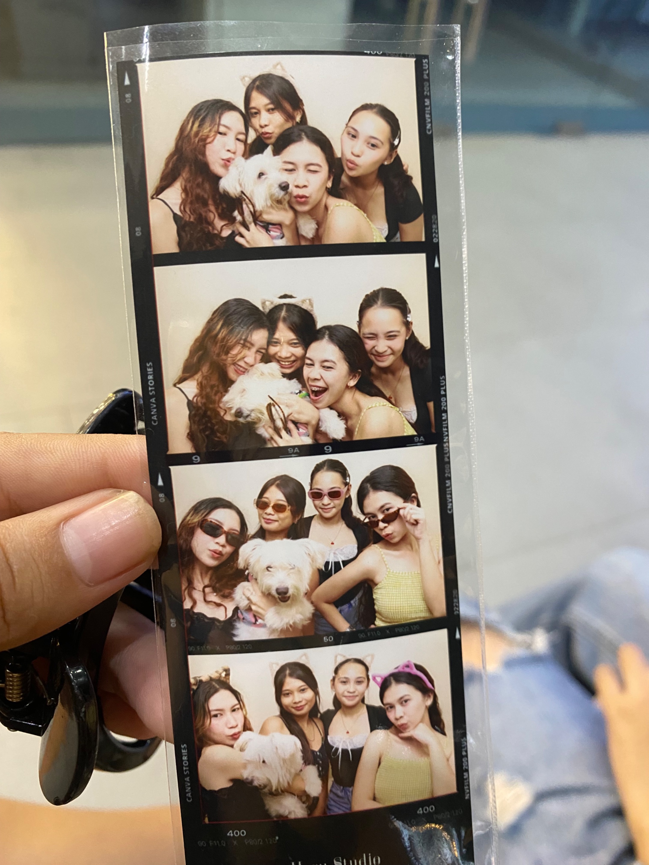 IMG_1234.jpeg