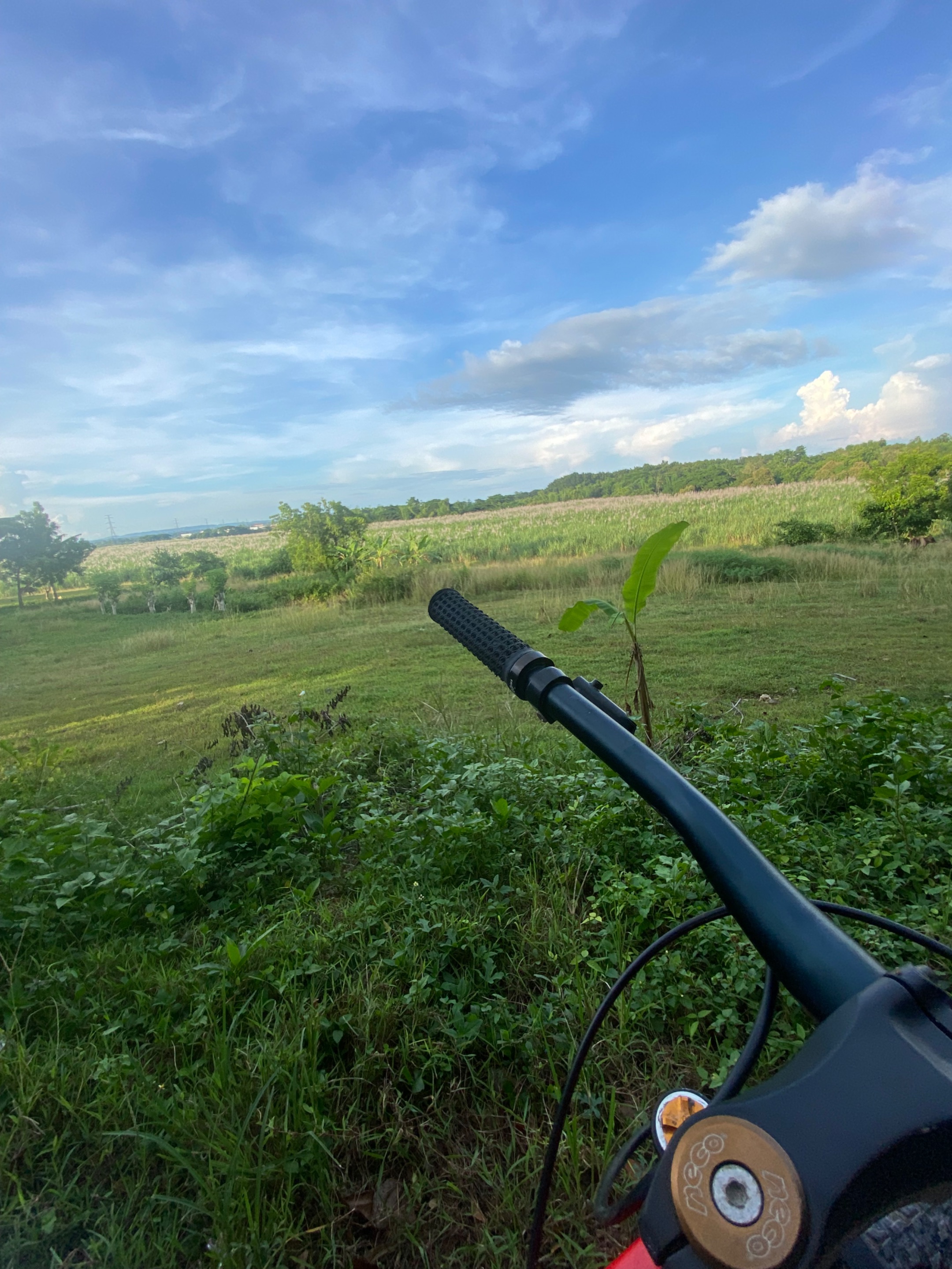 IMG_6943.jpeg
