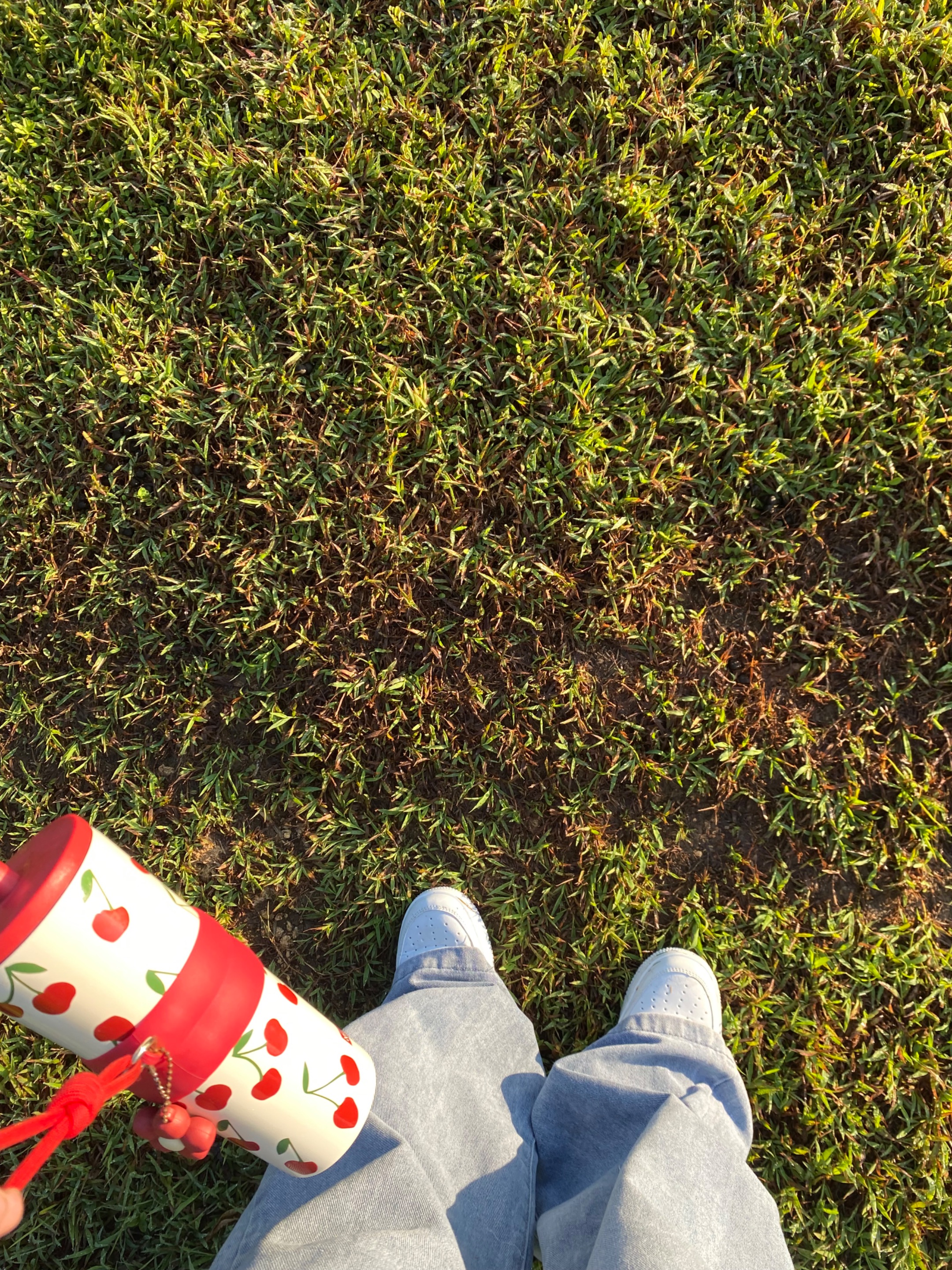 IMG_0636.jpeg