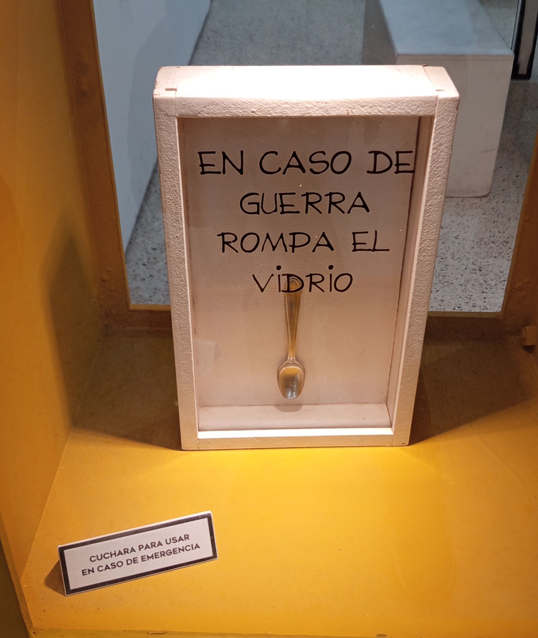 IMG_20250904_202323.jpg