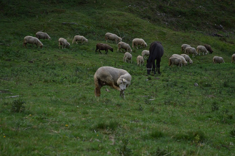 Here they are, in a better Resolution, Once Upon A Time in Romania