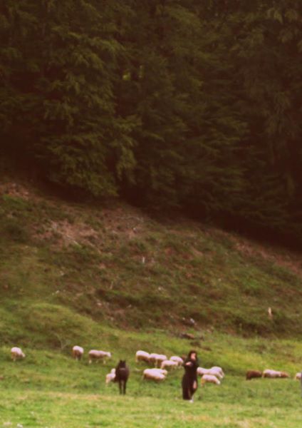 Self Portrait in the country side accompanied by a horse and some sheep, Once Upon A Time in Romania