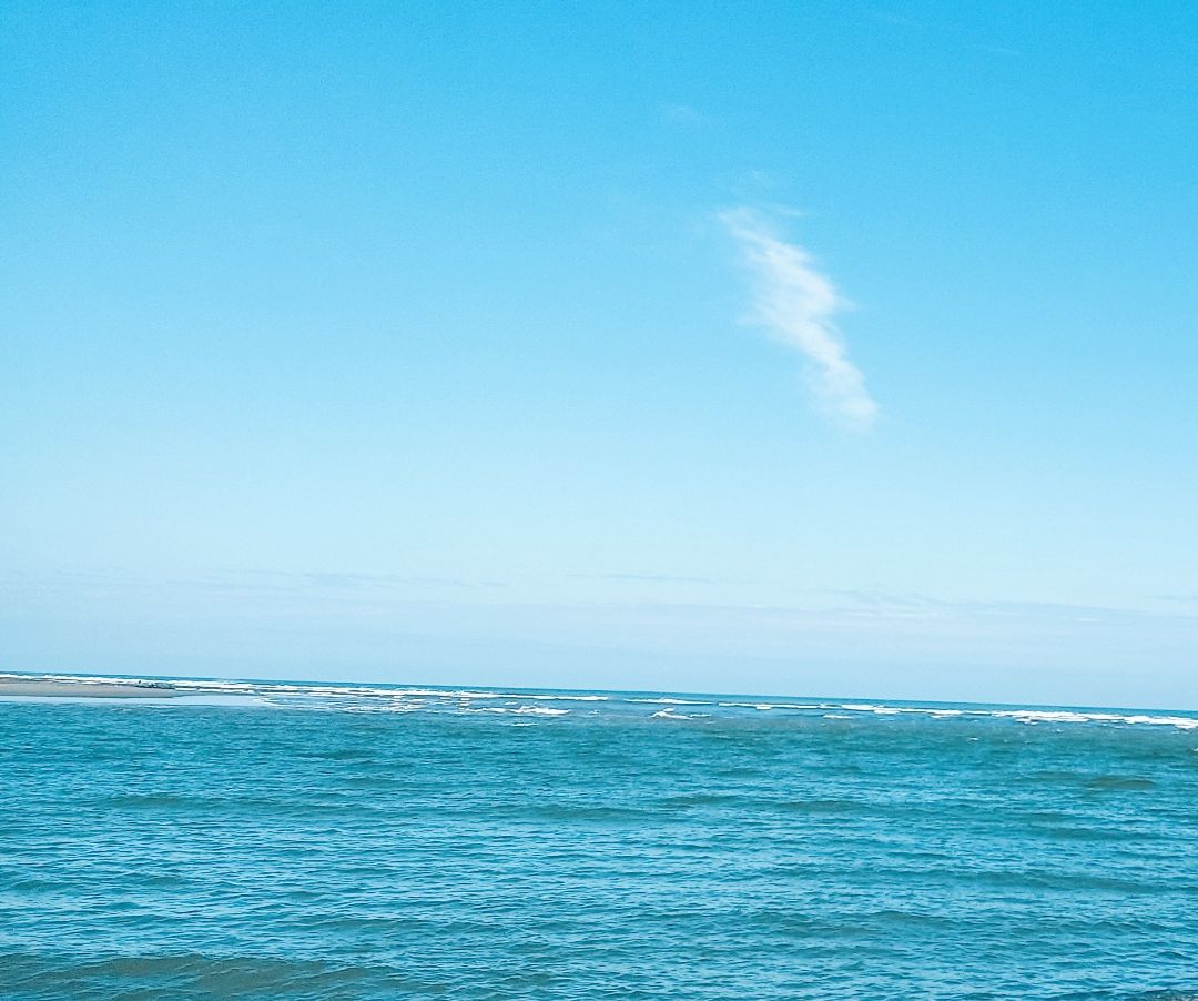 IMG_20240317_202206.jpg