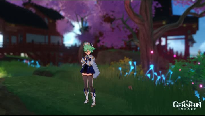orca-image-1203979184.jpeg.jpeg