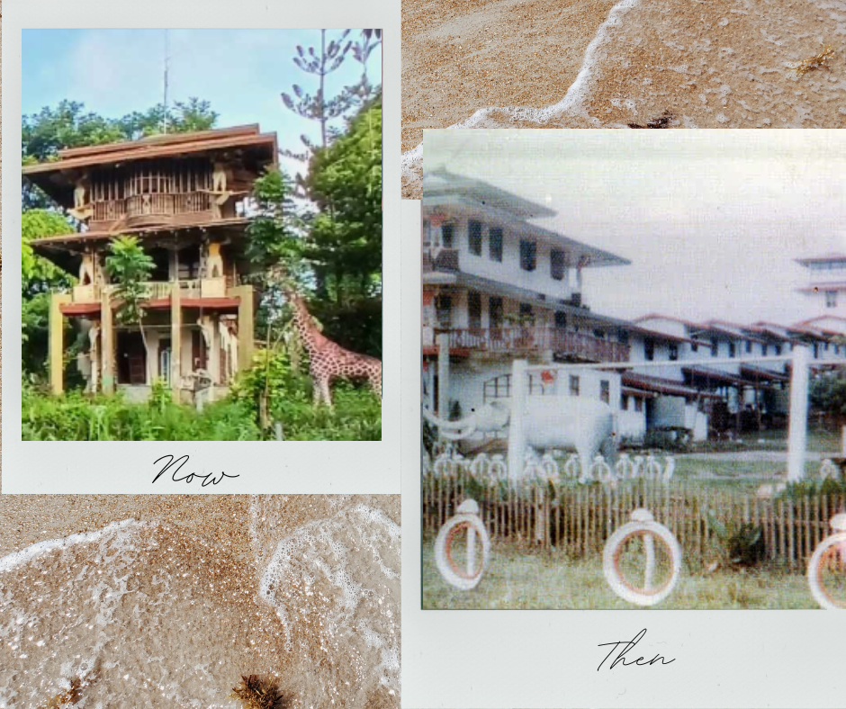 Neutral Polaroid Photo Collage Beach Honeymoon Facebook Post.png