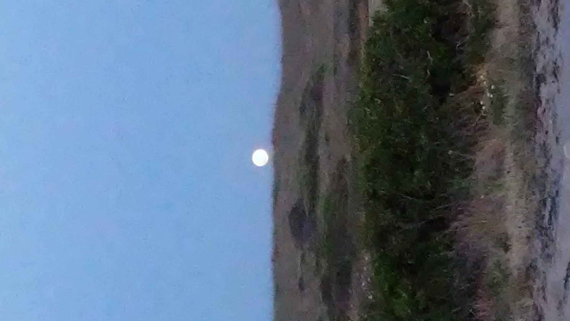 moon over dune.jpg