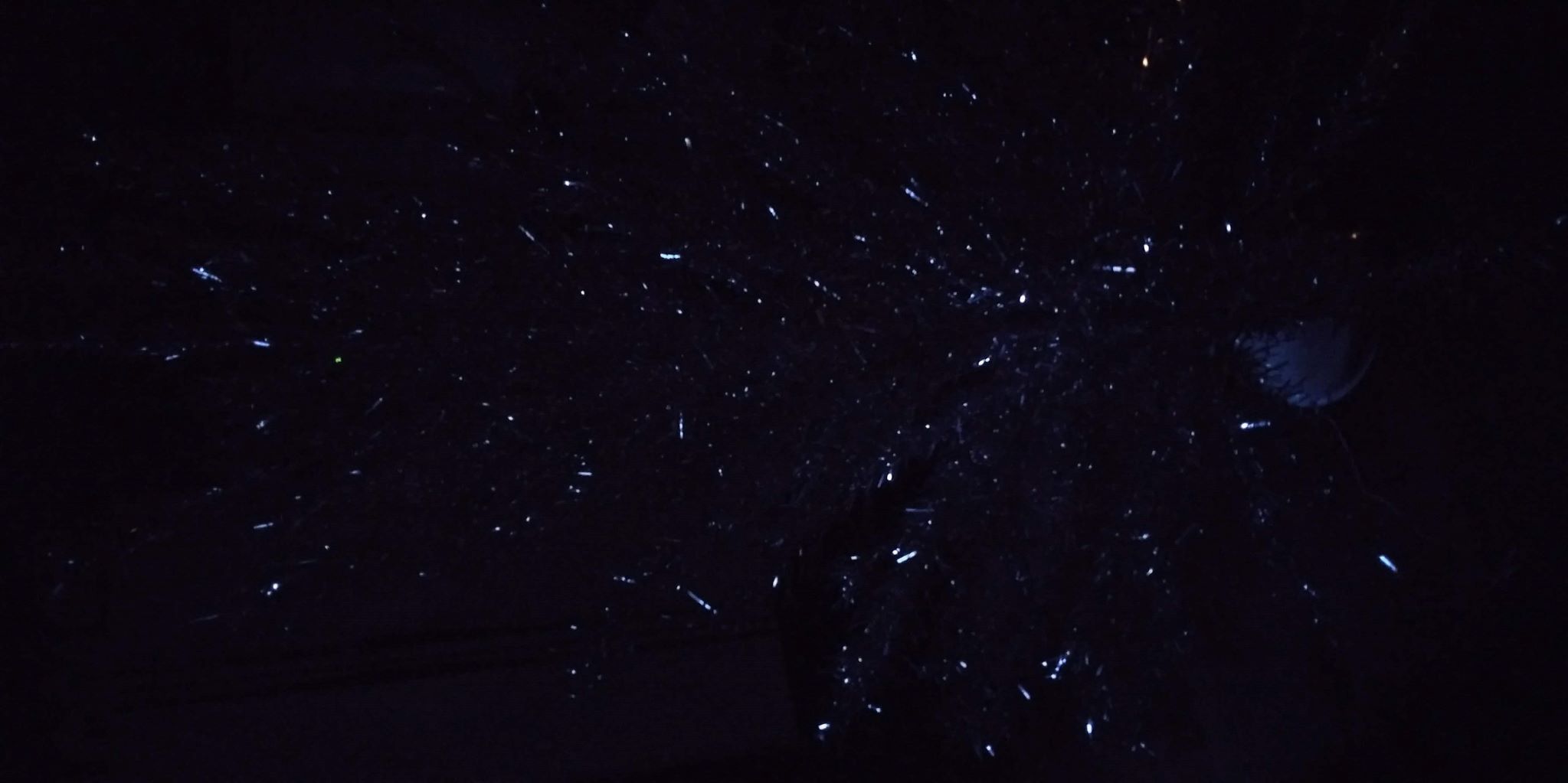 starry sky no evergleam in the dark.jpg
