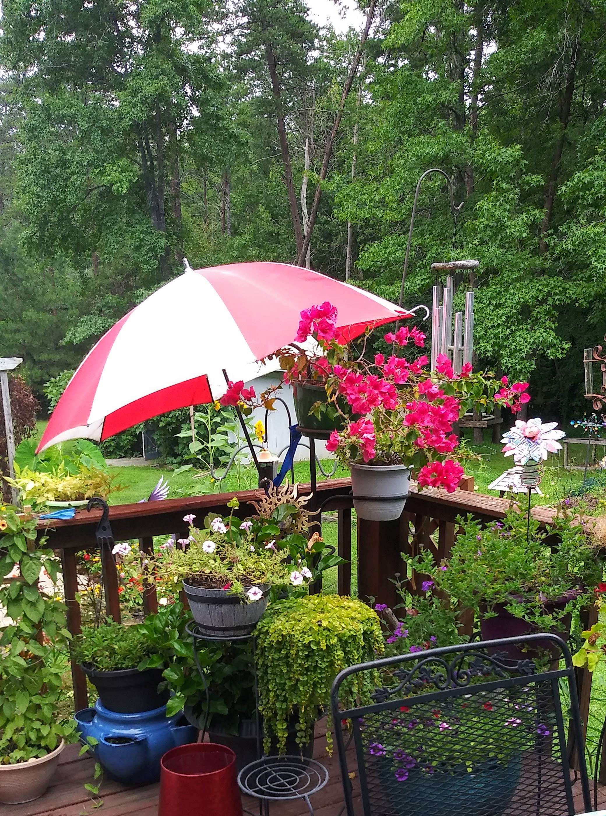 Moms umbrella.jpg